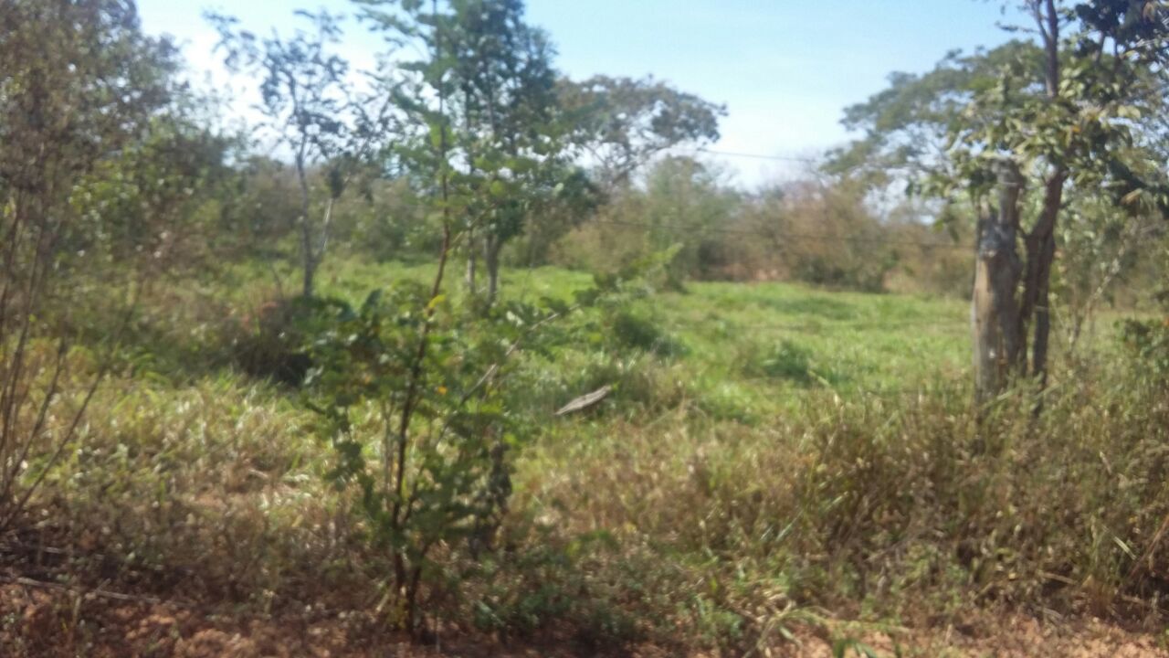 F-66 Fazenda Várzea da Palma