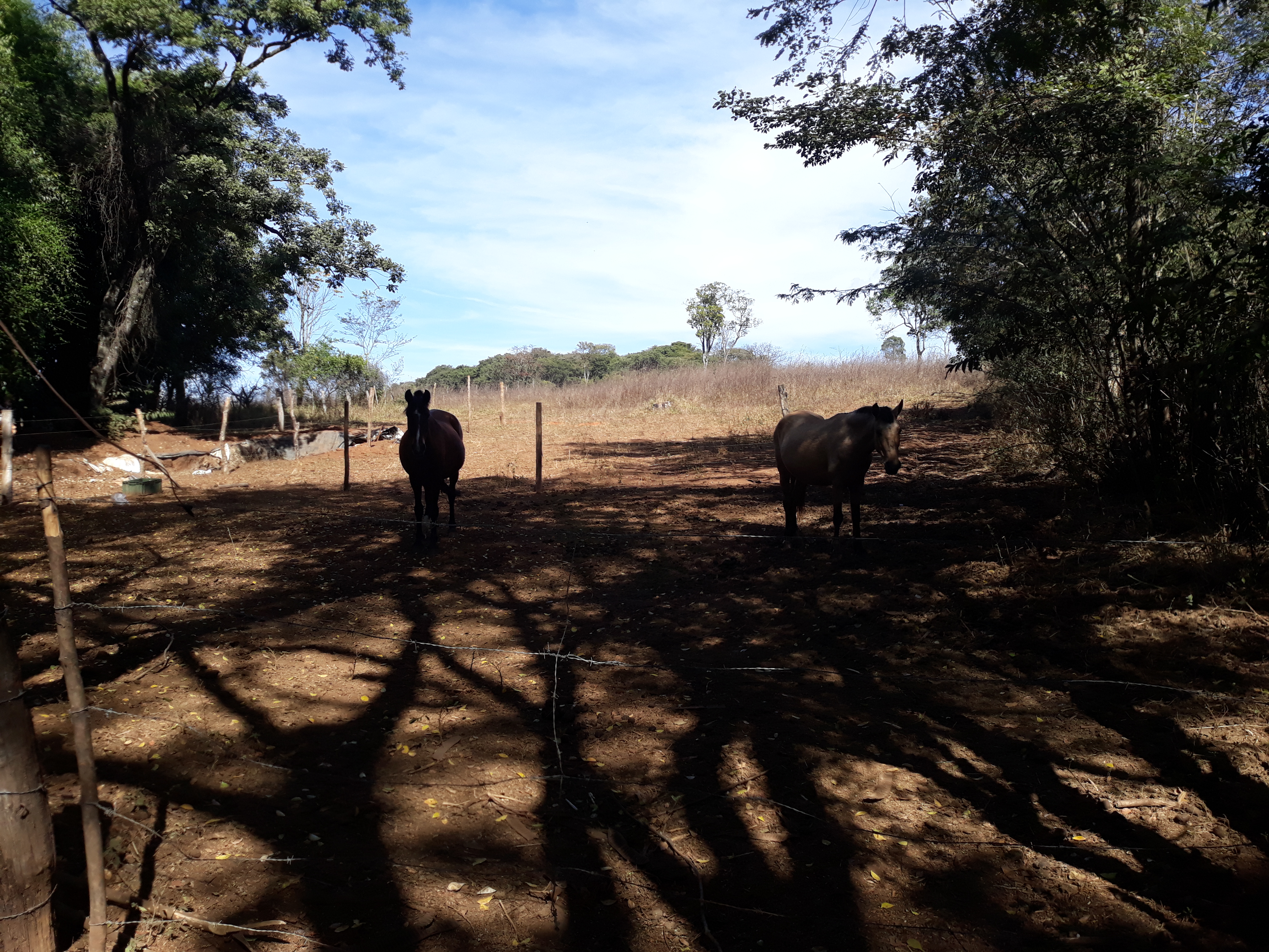 S-23 Sitio 13,5ha Matozinhos