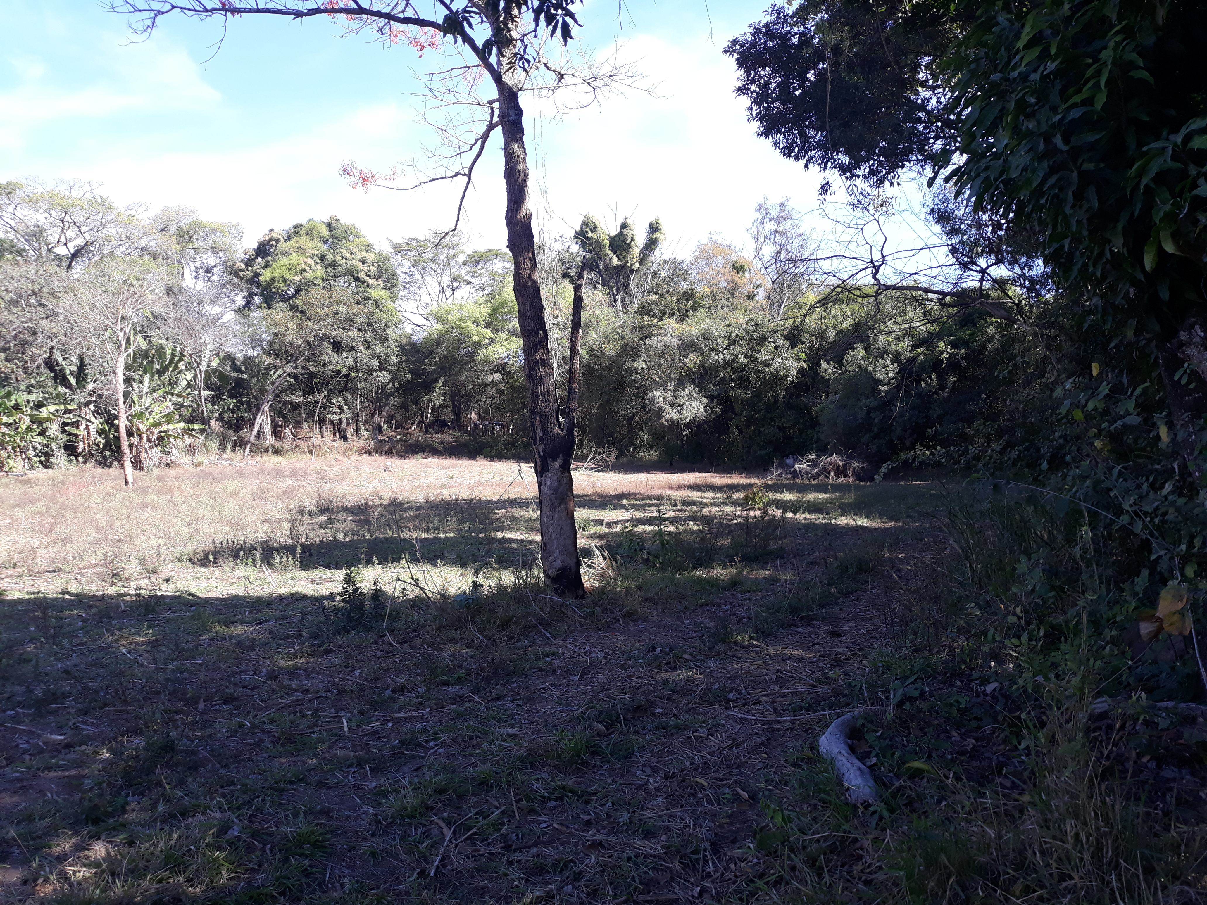 S-23 Sitio 13,5ha Matozinhos