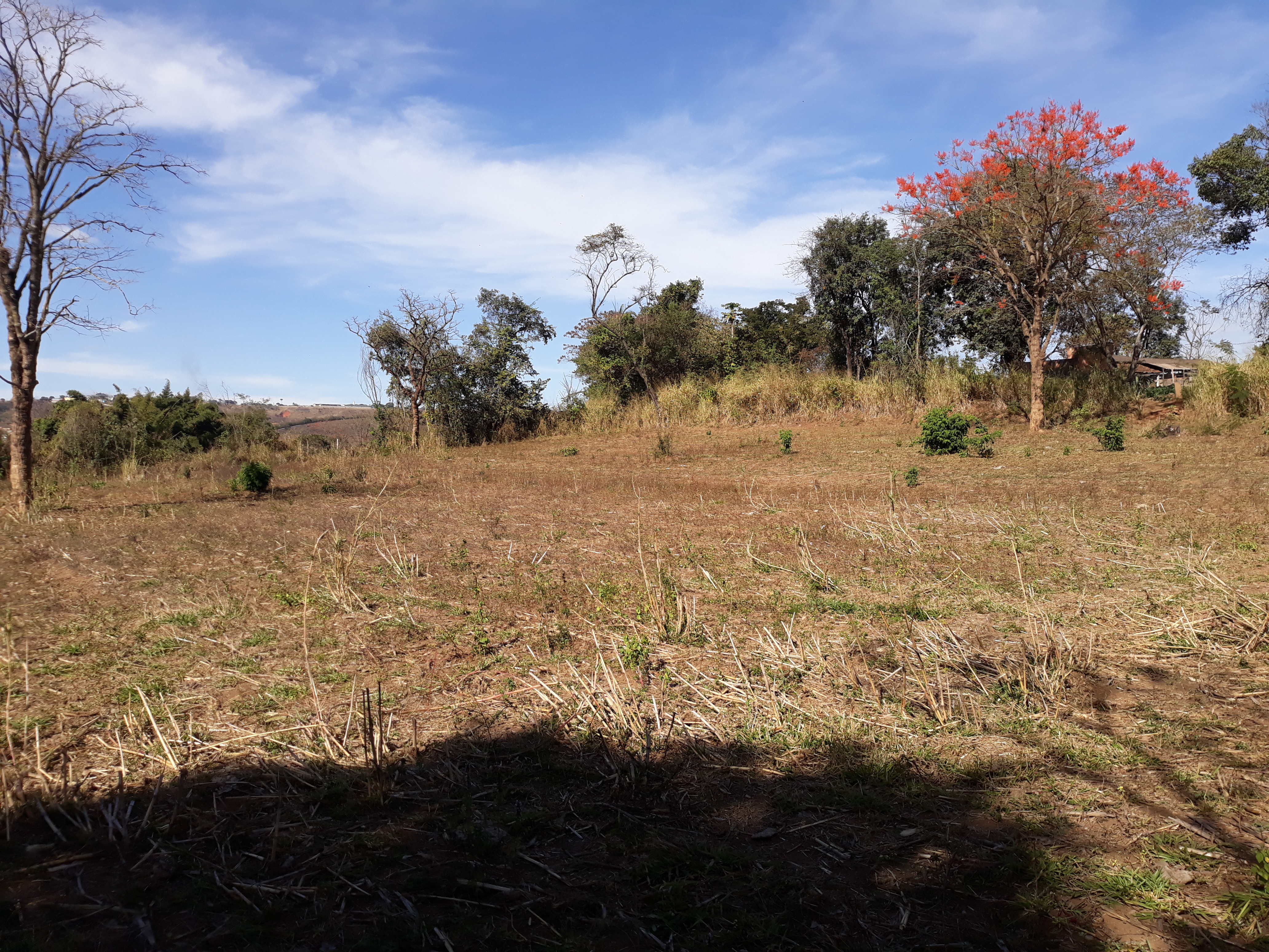 S-23 Sitio 13,5ha Matozinhos