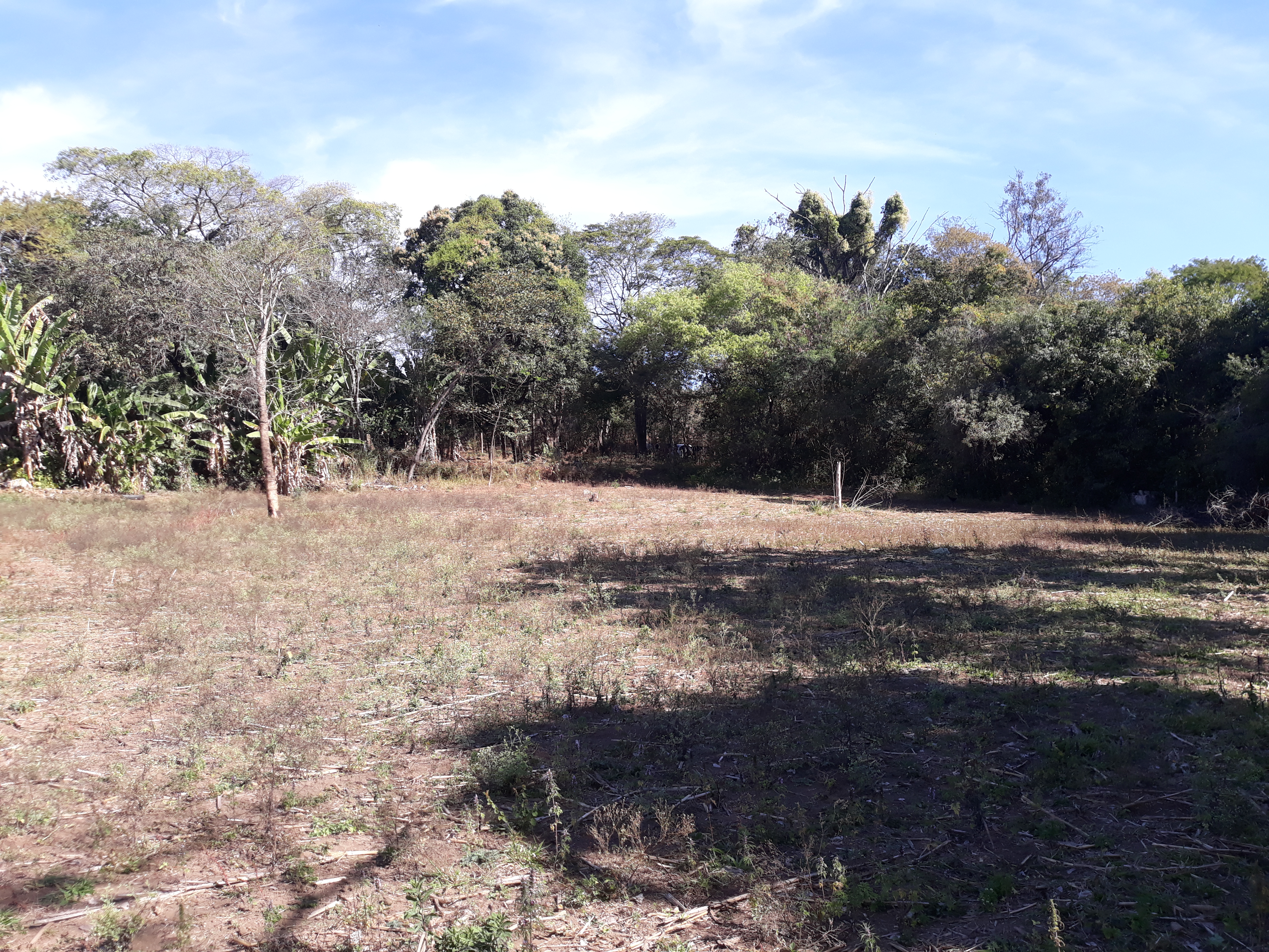 S-23 Sitio 13,5ha Matozinhos