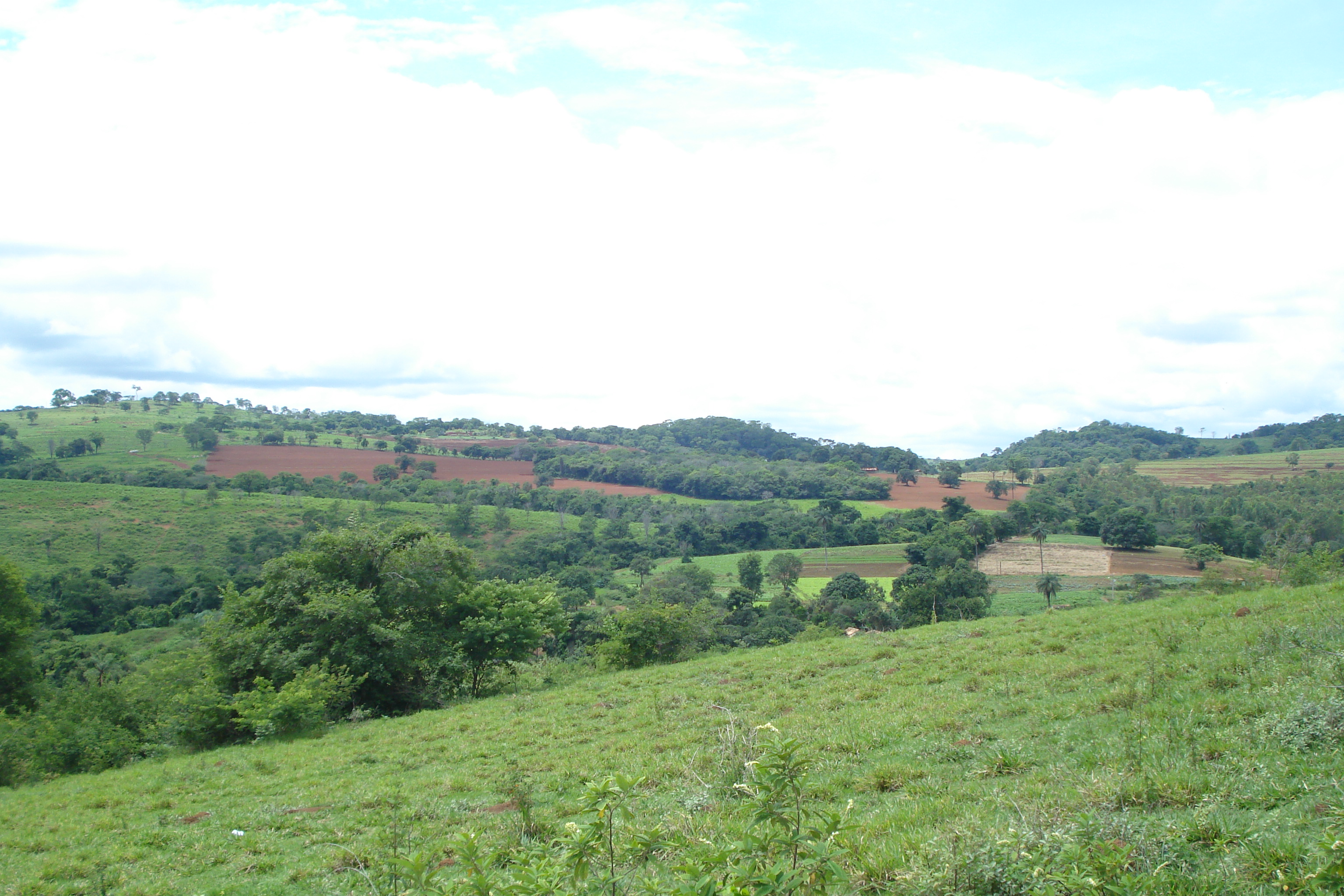F-61 Fazenda 25 hectares Pedro Leopoldo MG