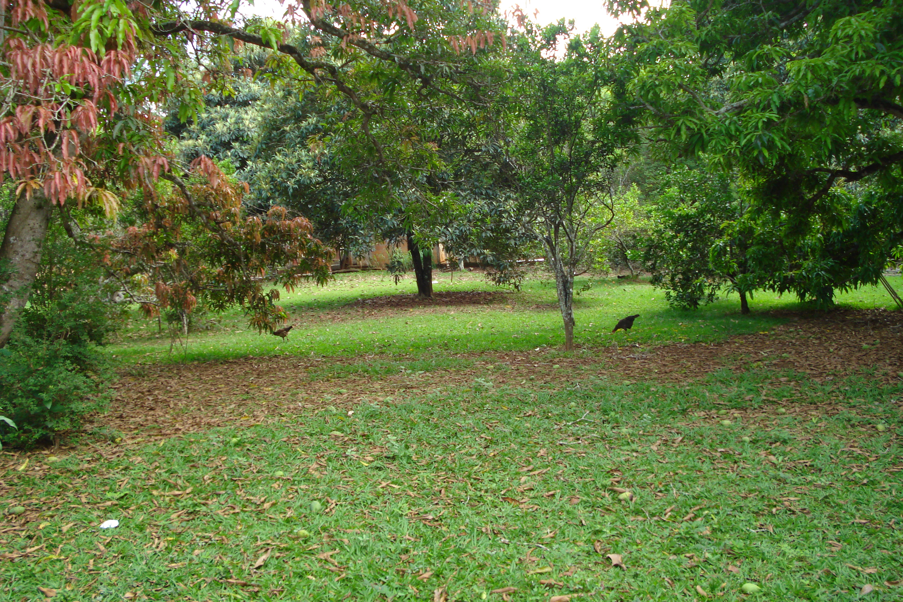 CH-27 Chacara 8.000m2 Fidalgo