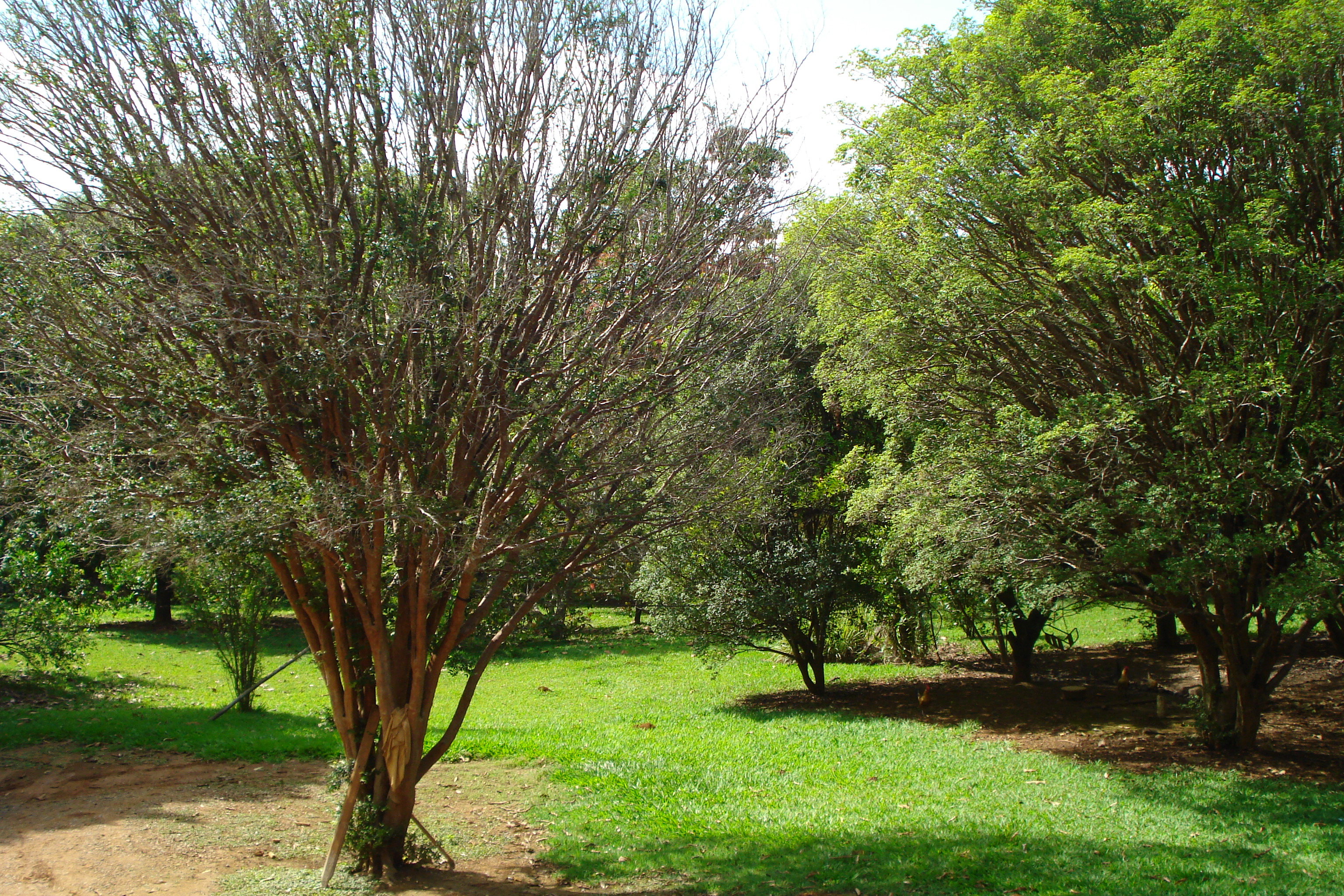 CH-27 Chacara 8.000m2 Fidalgo