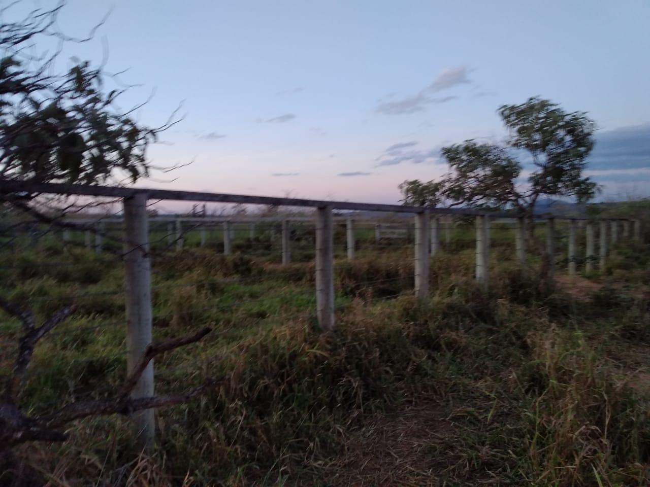 F-65 Fazenda Curvelo 830 HA