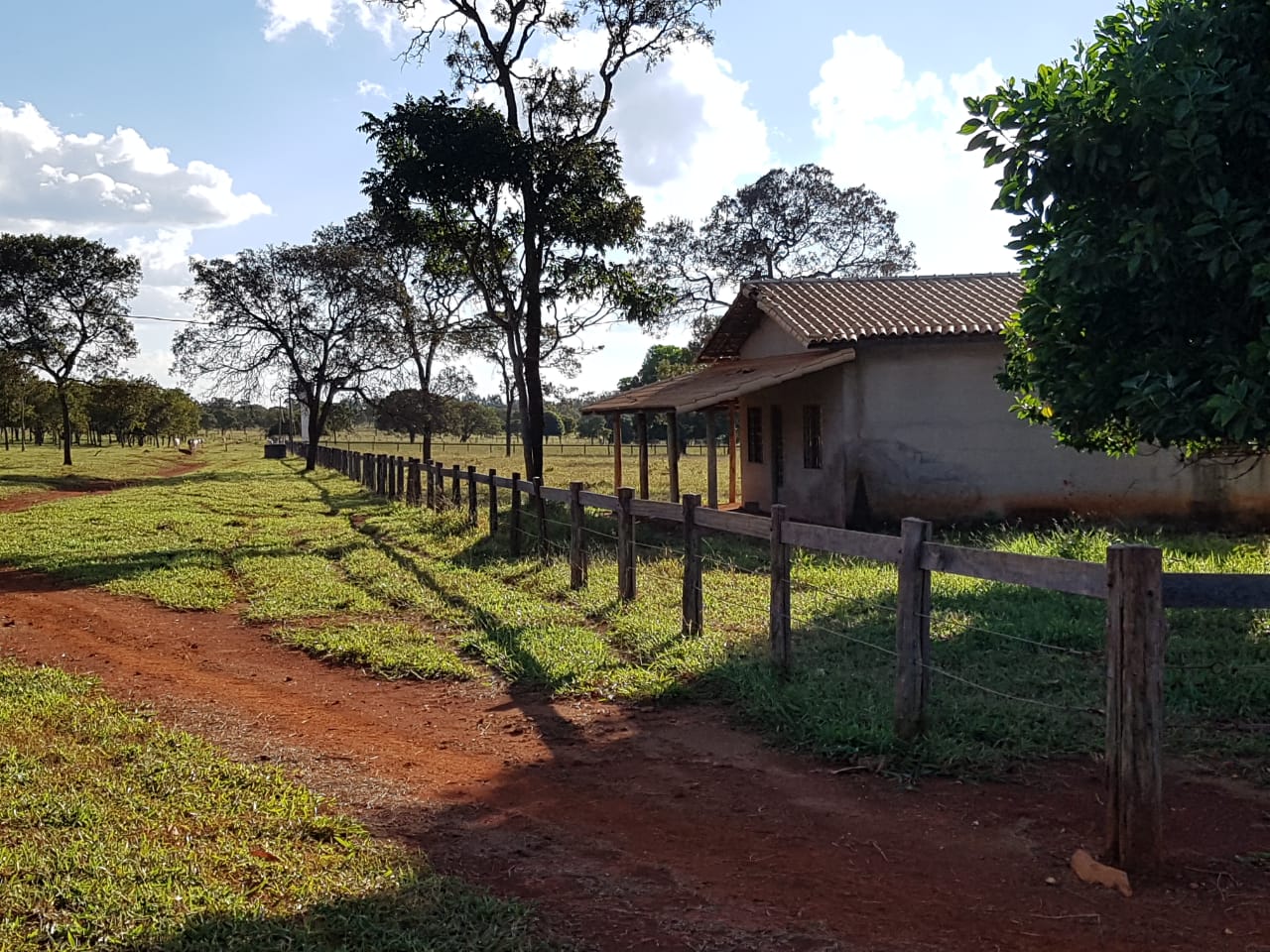 F-63 FAZENDA PARAOPEBA 238 HA