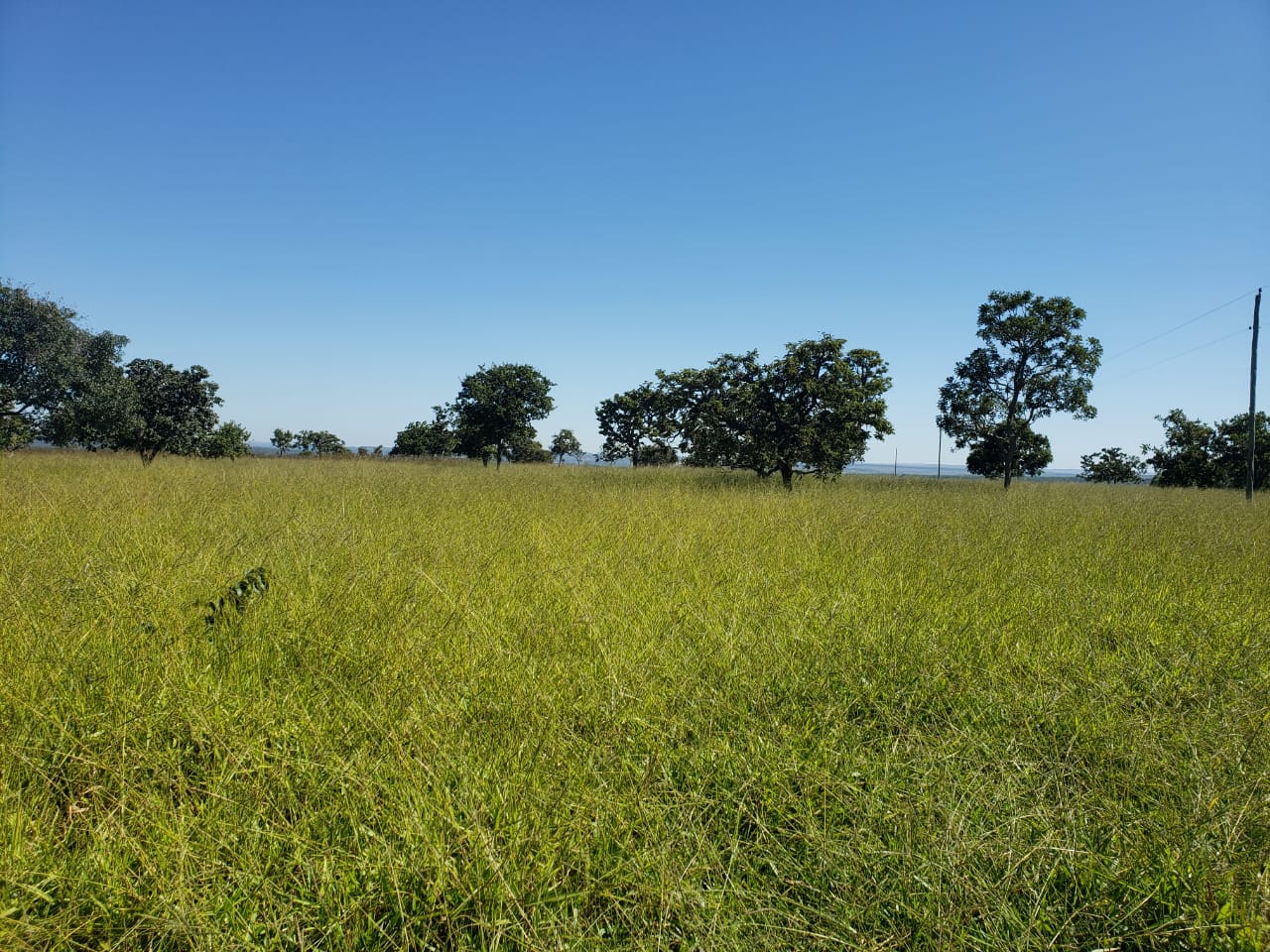 F-62 FAZENDA CURVELO 230 HA