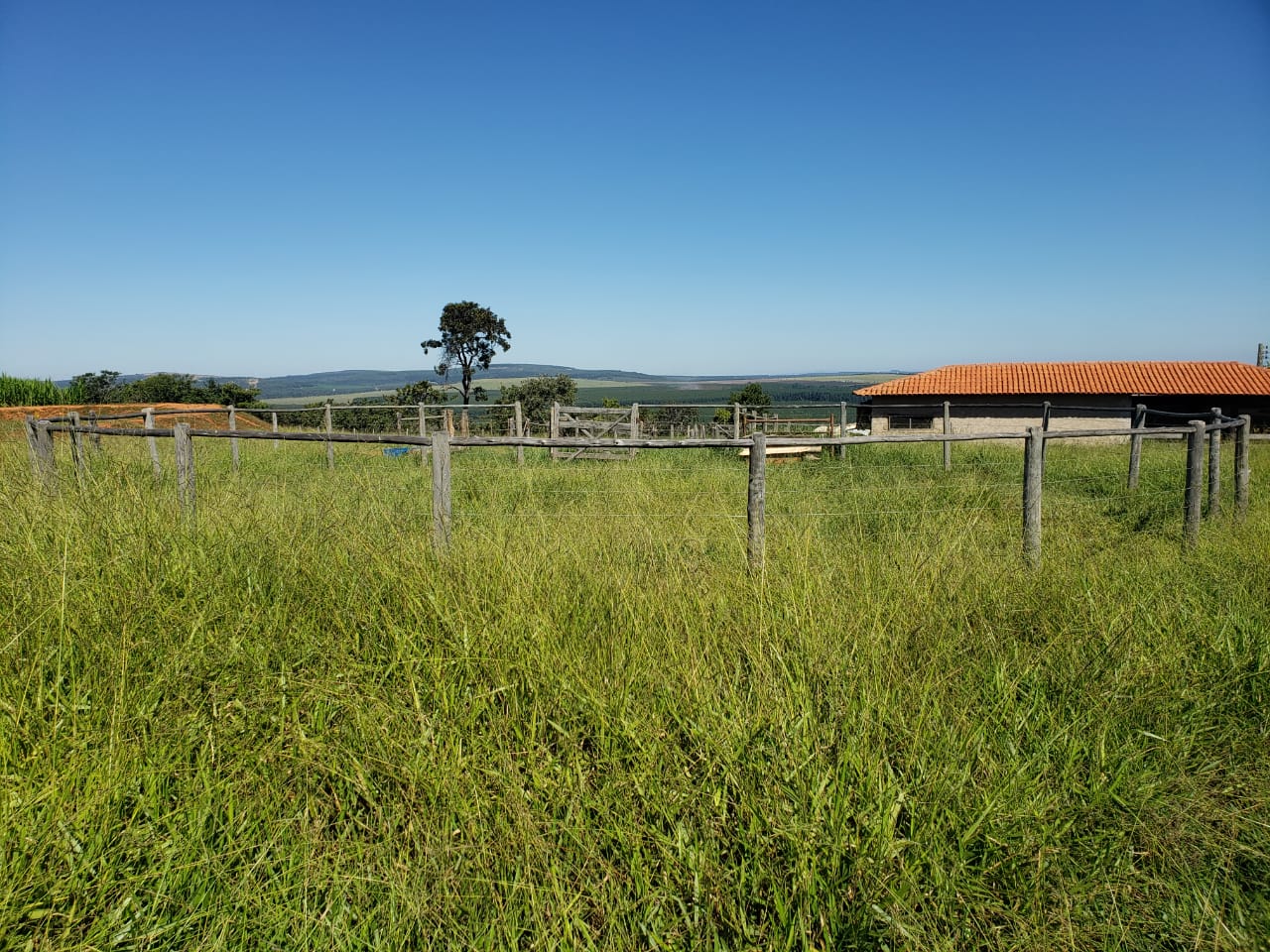 F-62 FAZENDA CURVELO 230 HA