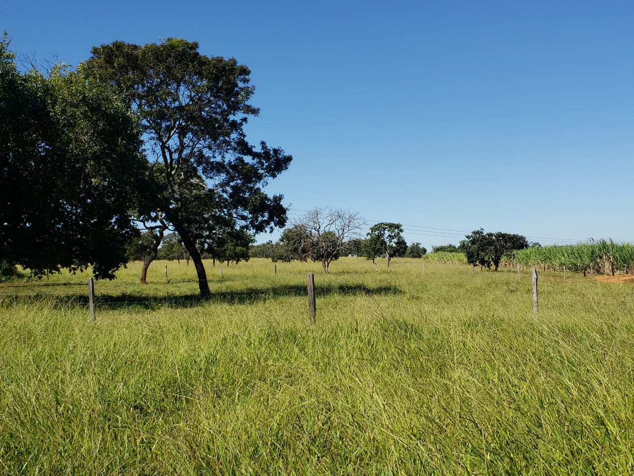 F-62 FAZENDA CURVELO 230 HA