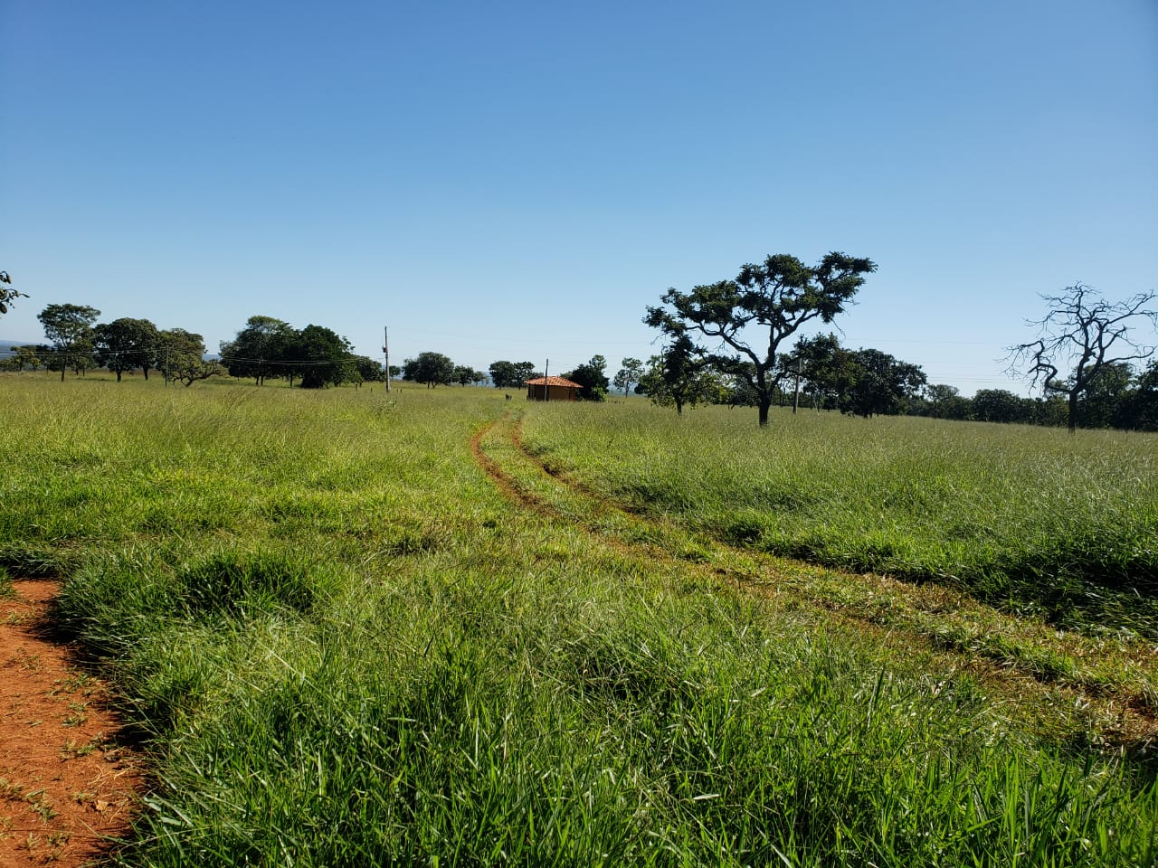 F-62 FAZENDA CURVELO 230 HA