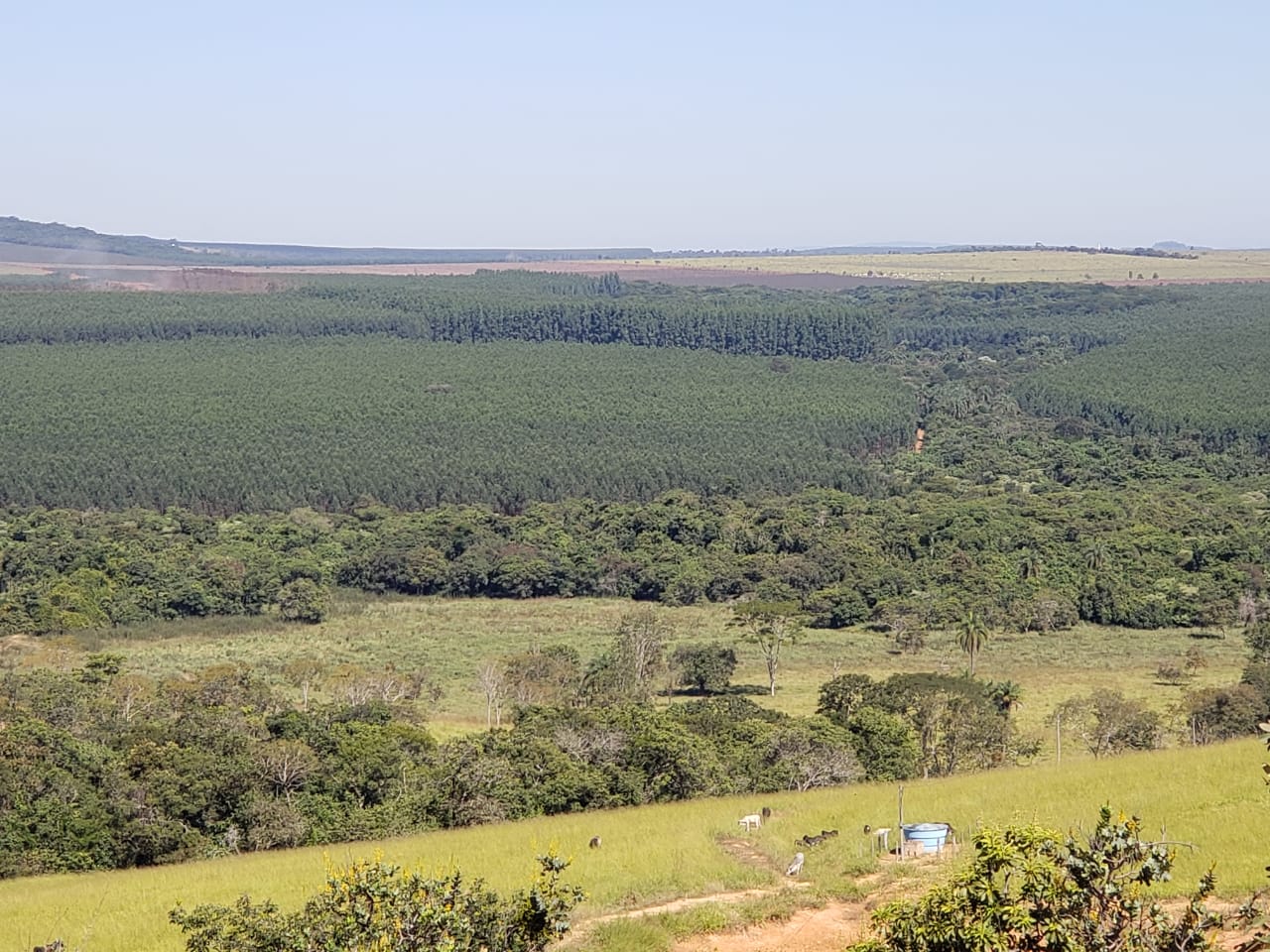 F-62 FAZENDA CURVELO 230 HA