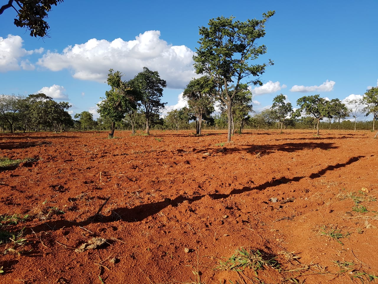 F-63 FAZENDA PARAOPEBA 238 HA