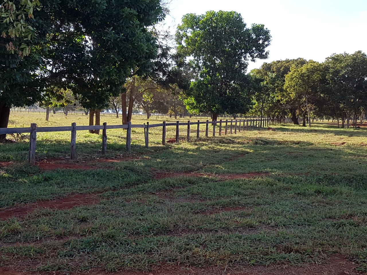 F-63 FAZENDA PARAOPEBA 238 HA