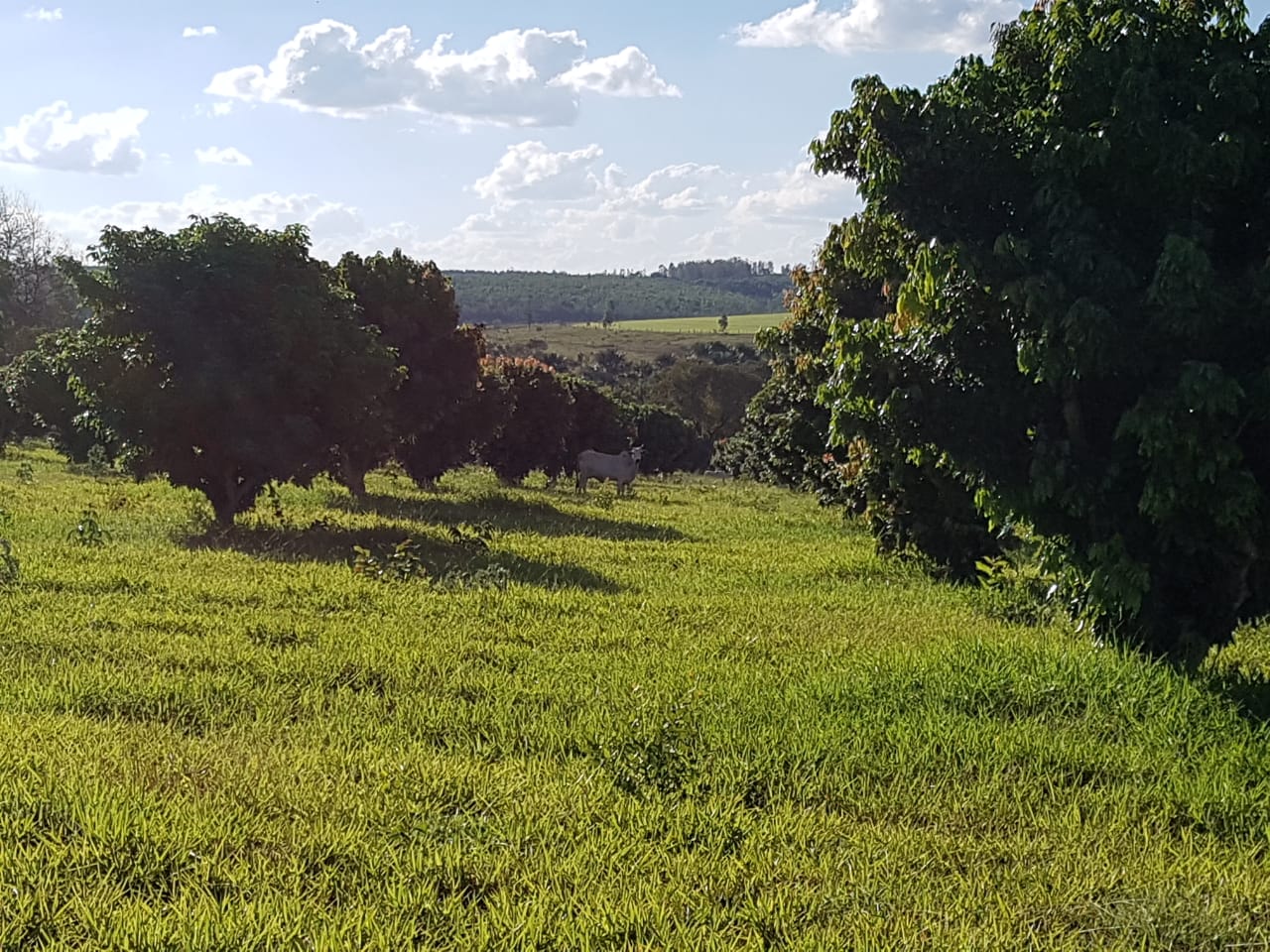 F-63 FAZENDA PARAOPEBA 238 HA