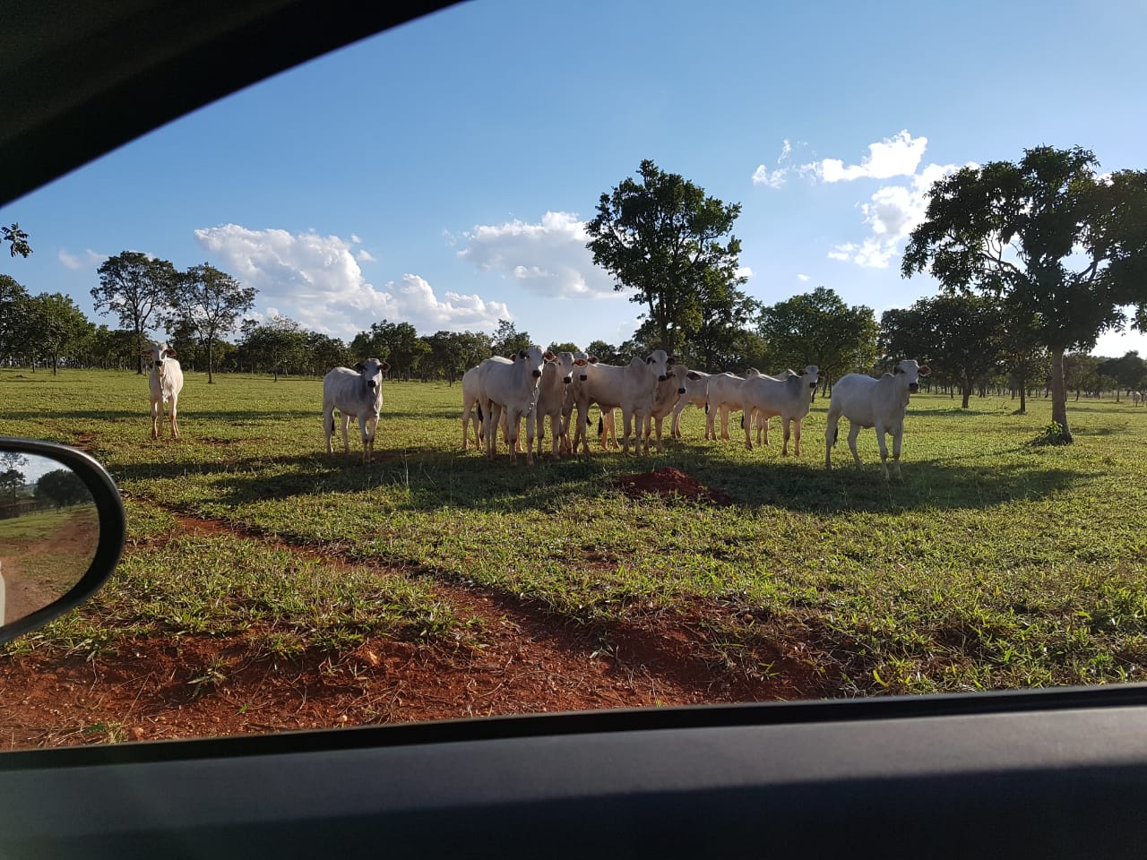 F-63 FAZENDA PARAOPEBA 238 HA