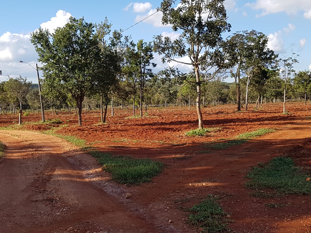 F-63 FAZENDA PARAOPEBA 238 HA