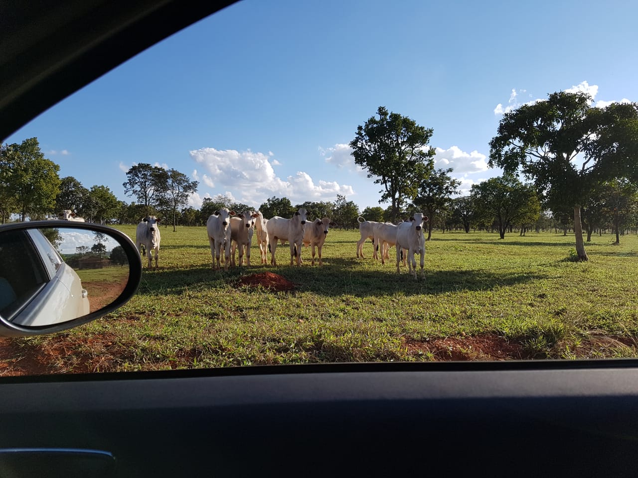 F-63 FAZENDA PARAOPEBA 238 HA