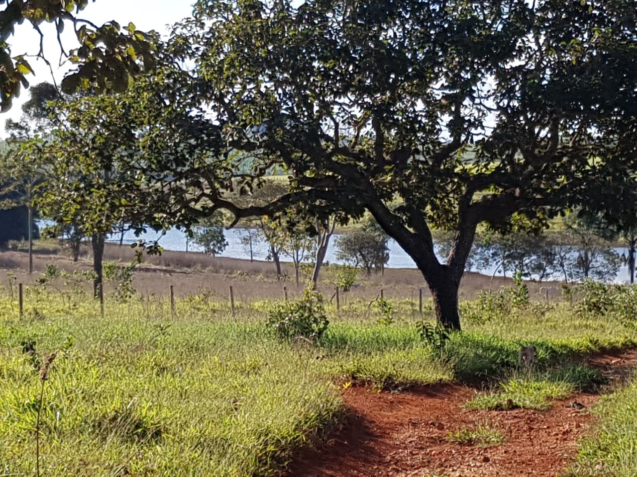 F-63 FAZENDA PARAOPEBA 238 HA