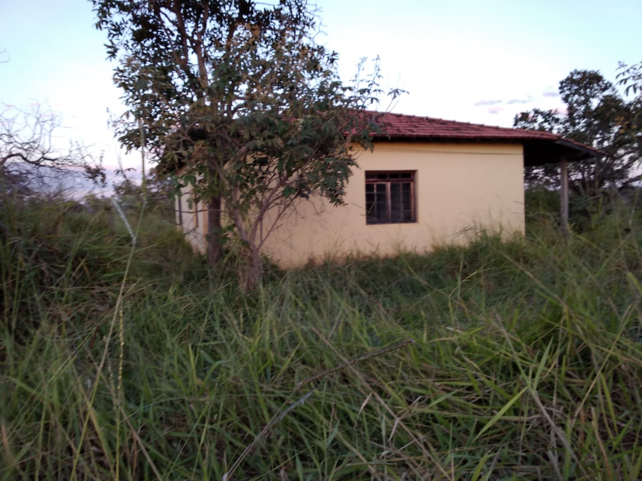 F-65 Fazenda Curvelo 830 HA