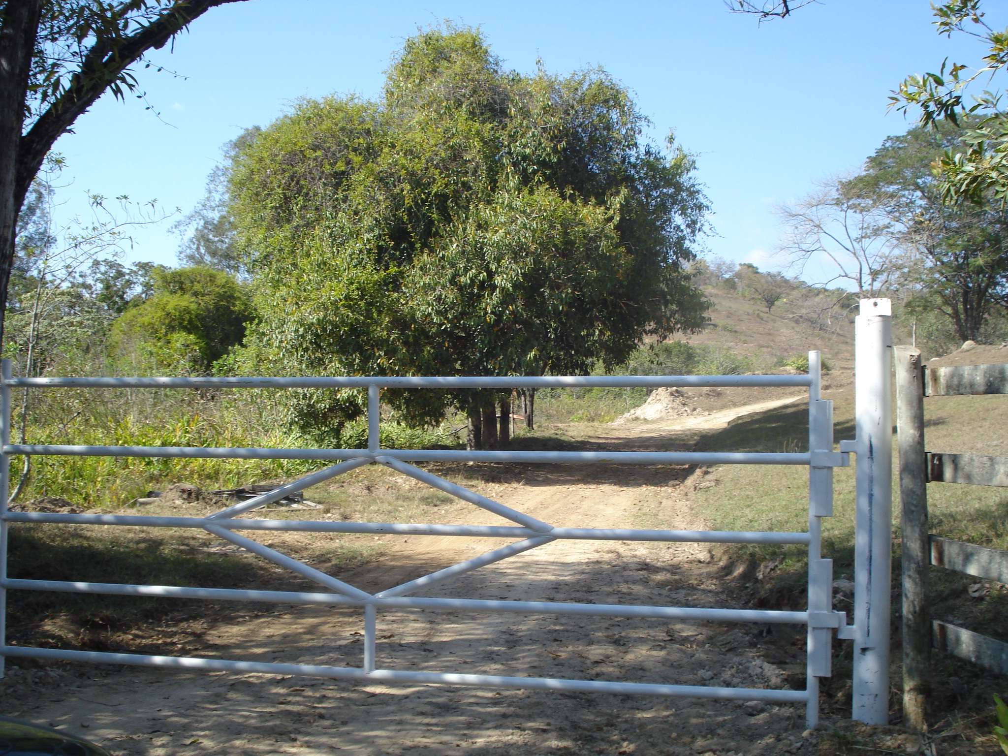 F-71 Fazenda 110ha Matozinhos MG