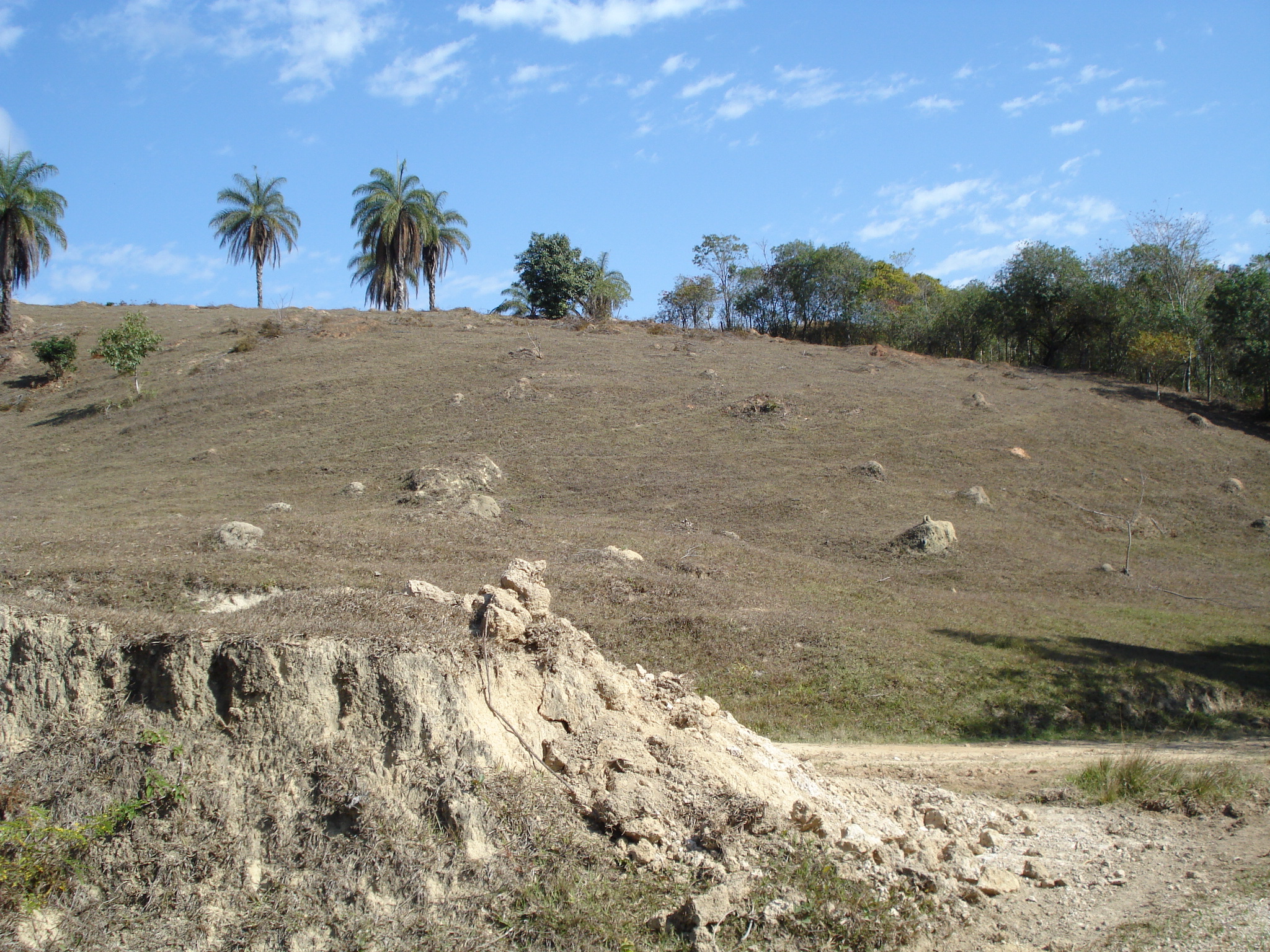 F-71 Fazenda 110ha Matozinhos MG