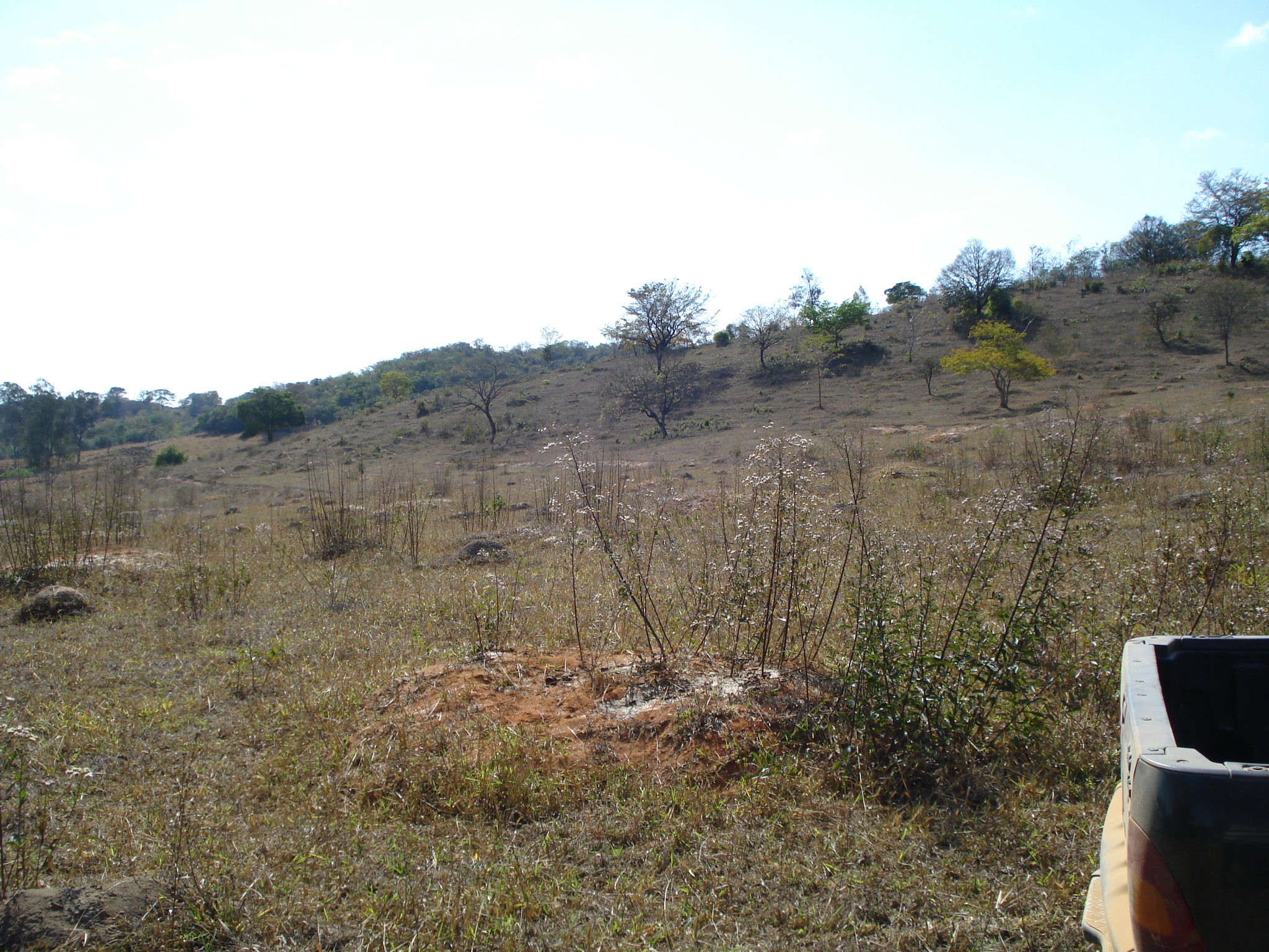 F-71 Fazenda 110ha Matozinhos MG