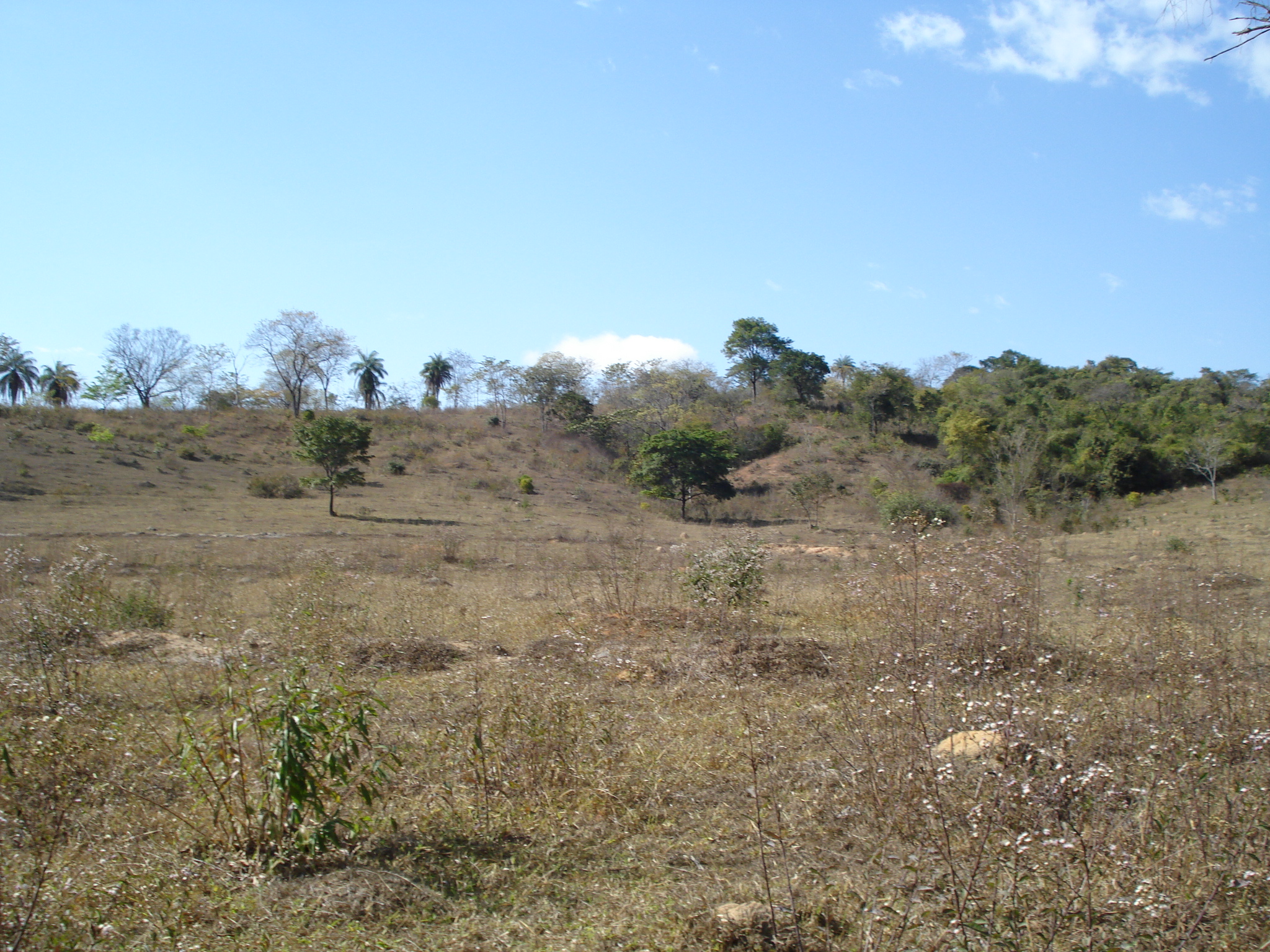 F-71 Fazenda 110ha Matozinhos MG