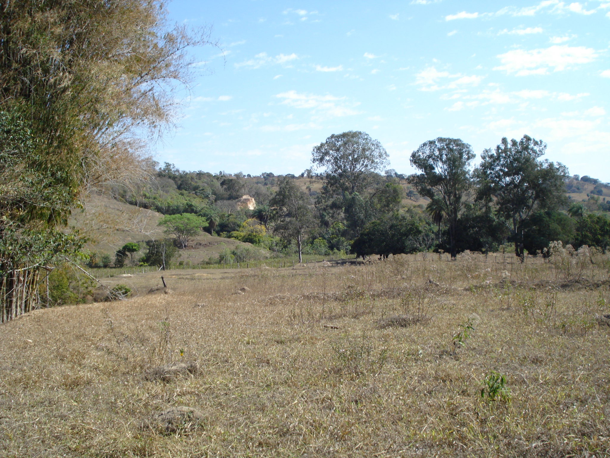 F-71 Fazenda 110ha Matozinhos MG