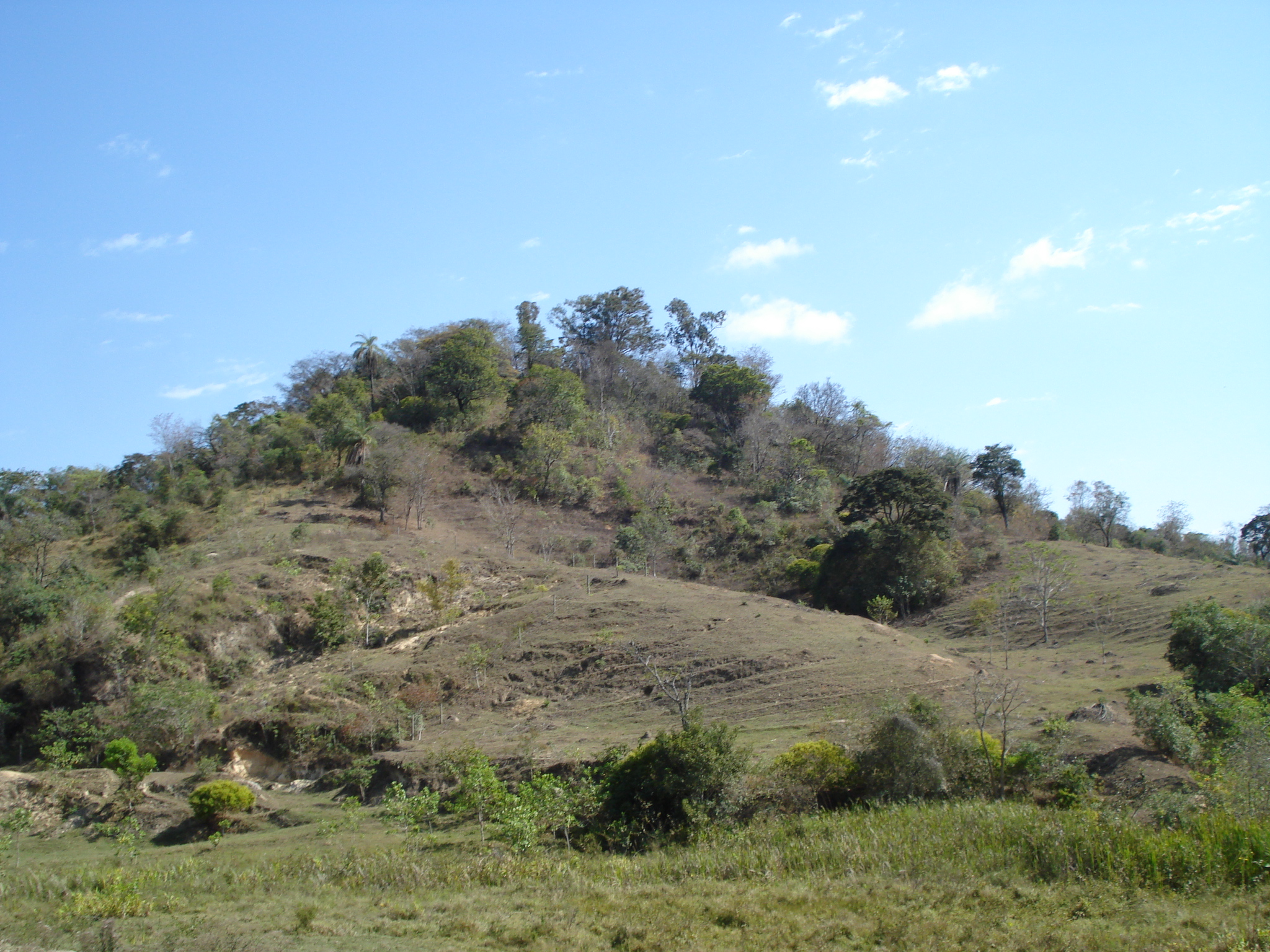 F-71 Fazenda 110ha Matozinhos MG