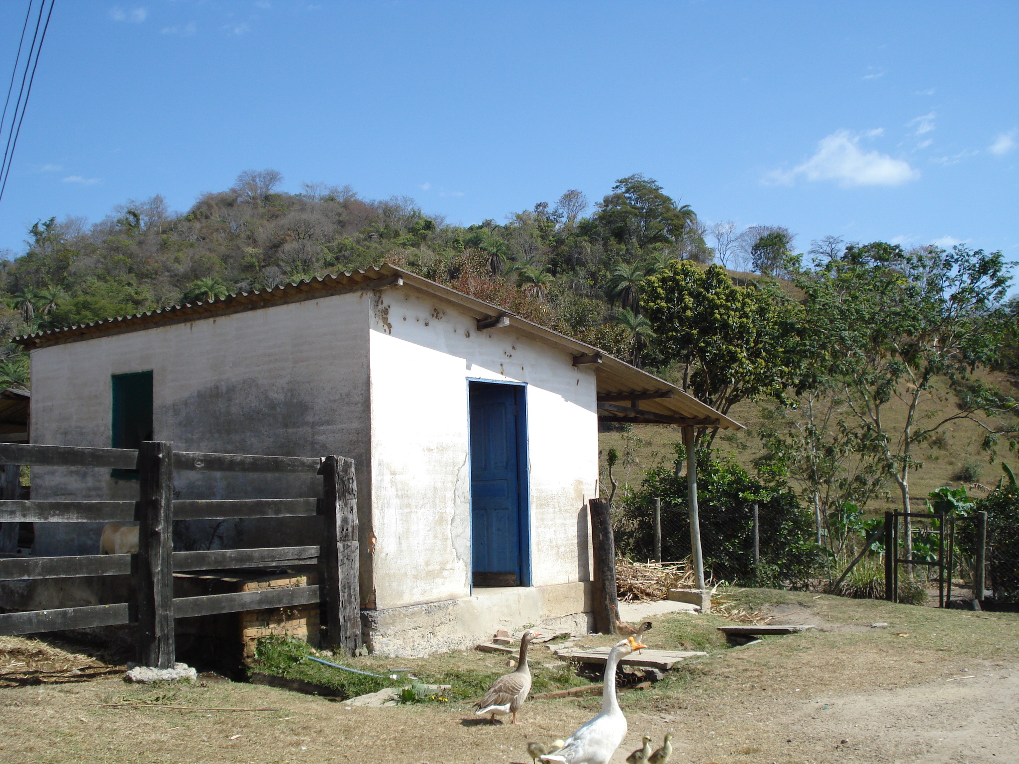 F-71 Fazenda 110ha Matozinhos MG