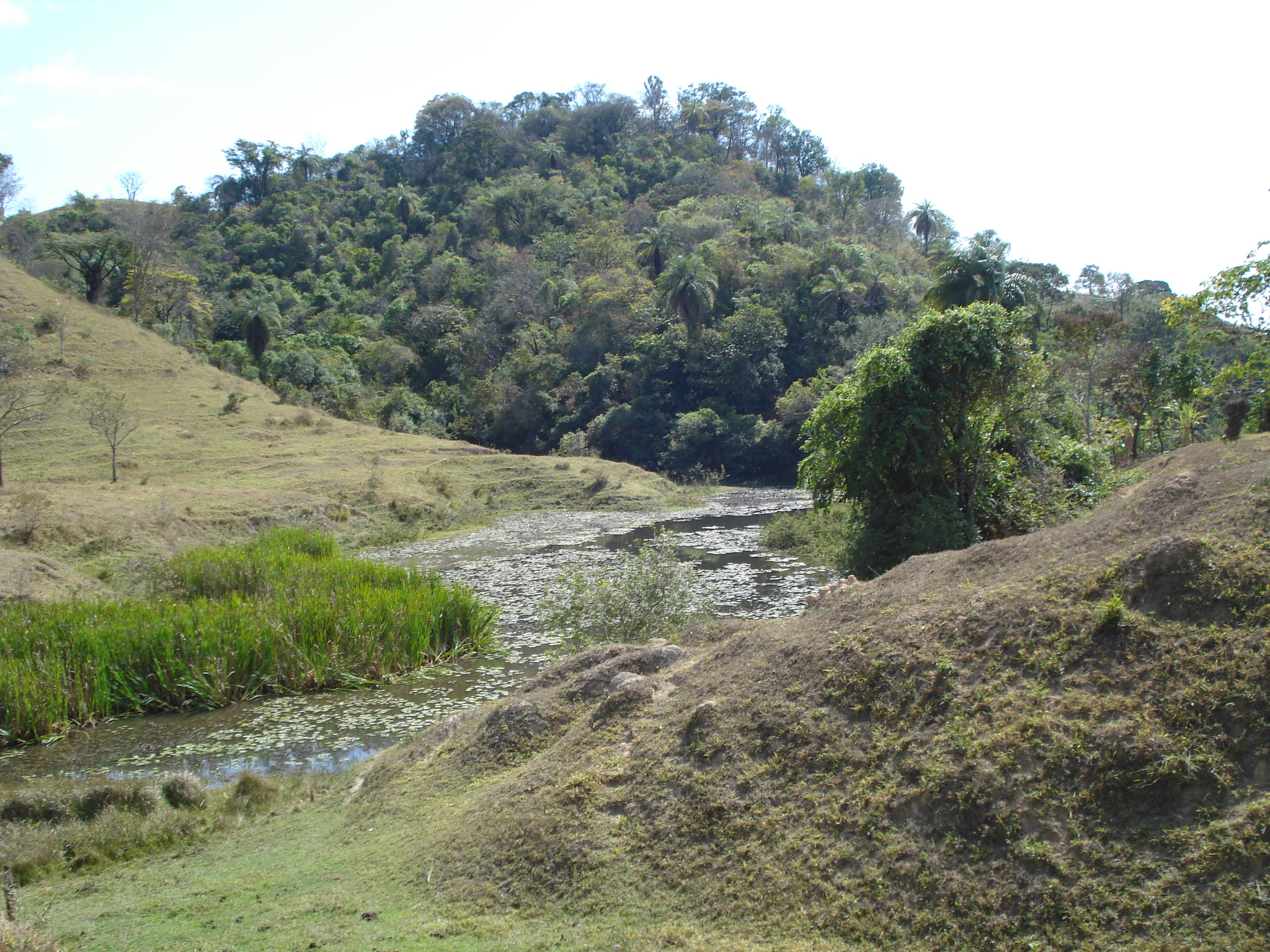 F-71 Fazenda 110ha Matozinhos MG