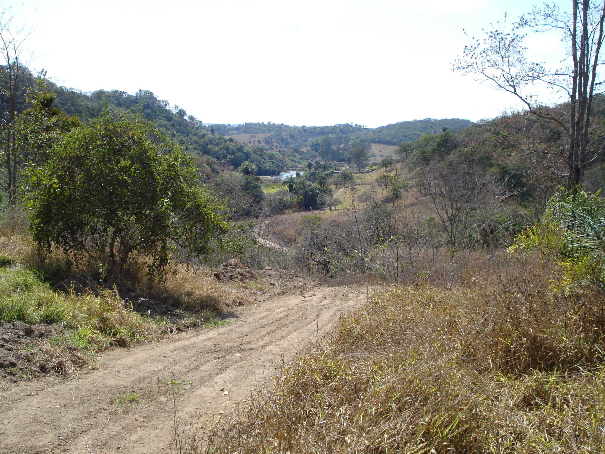 F-71 Fazenda 110ha Matozinhos MG