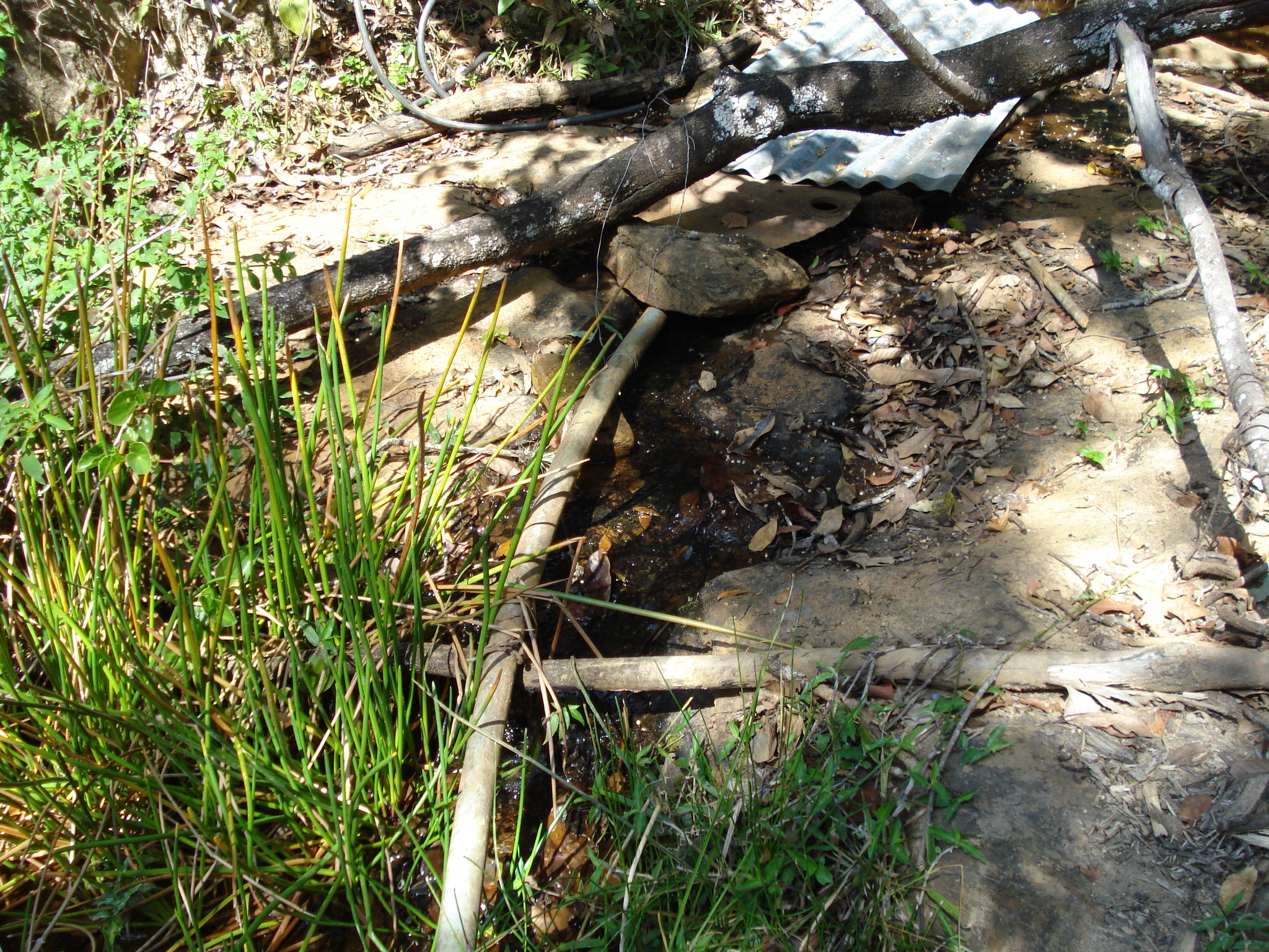 F-71 Fazenda 110ha Matozinhos MG