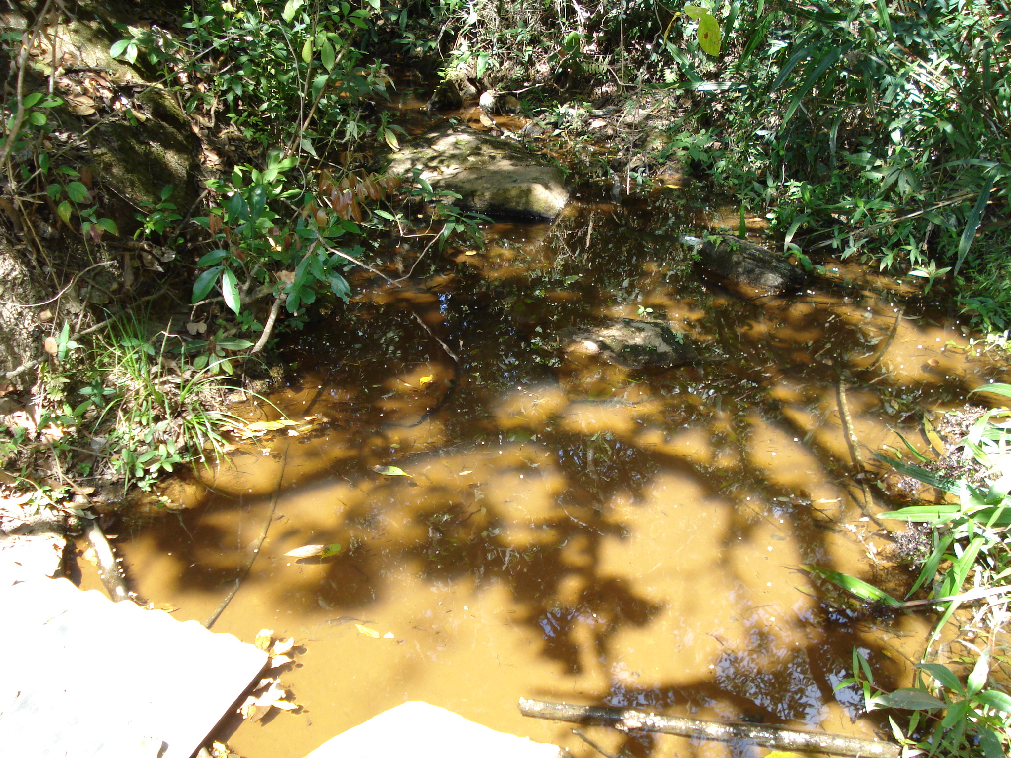 F-71 Fazenda 110ha Matozinhos MG