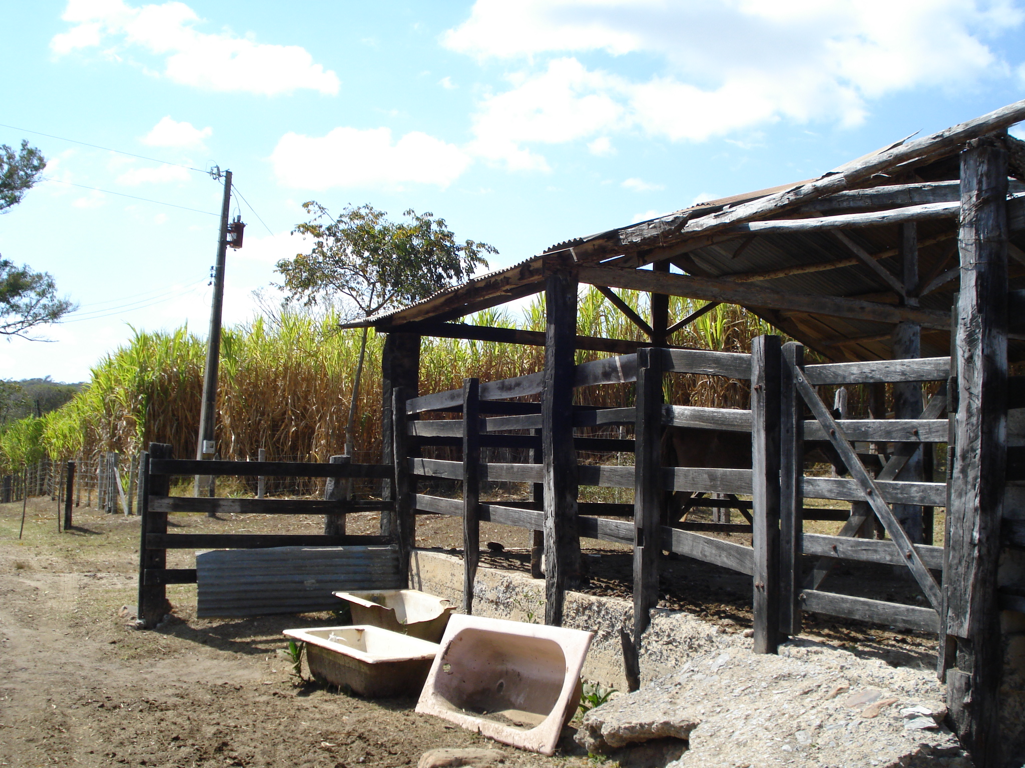 F-71 Fazenda 110ha Matozinhos MG