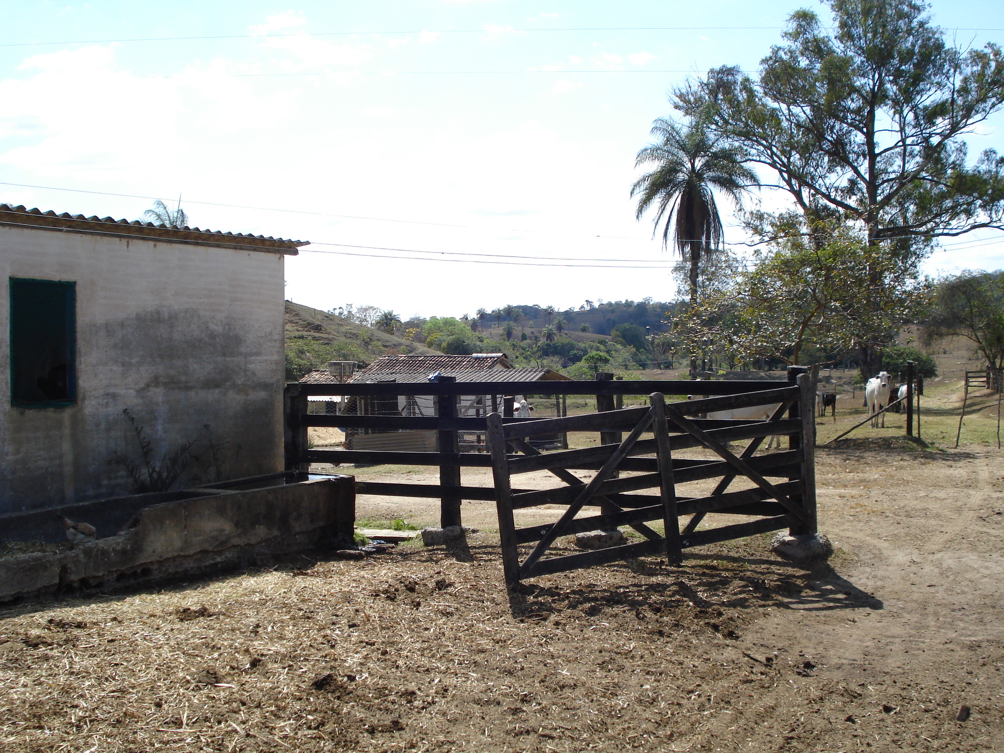 F-71 Fazenda 110ha Matozinhos MG