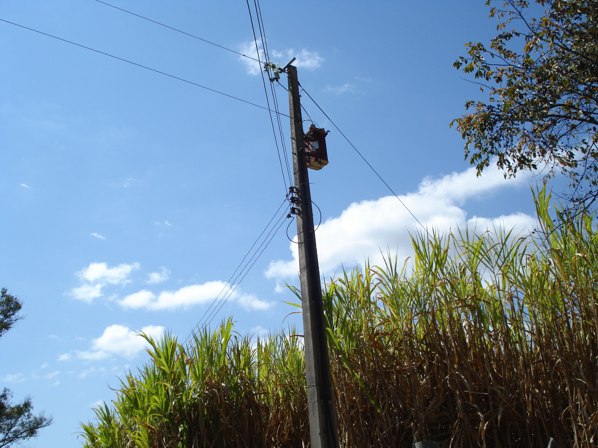 F-71 Fazenda 110ha Matozinhos MG