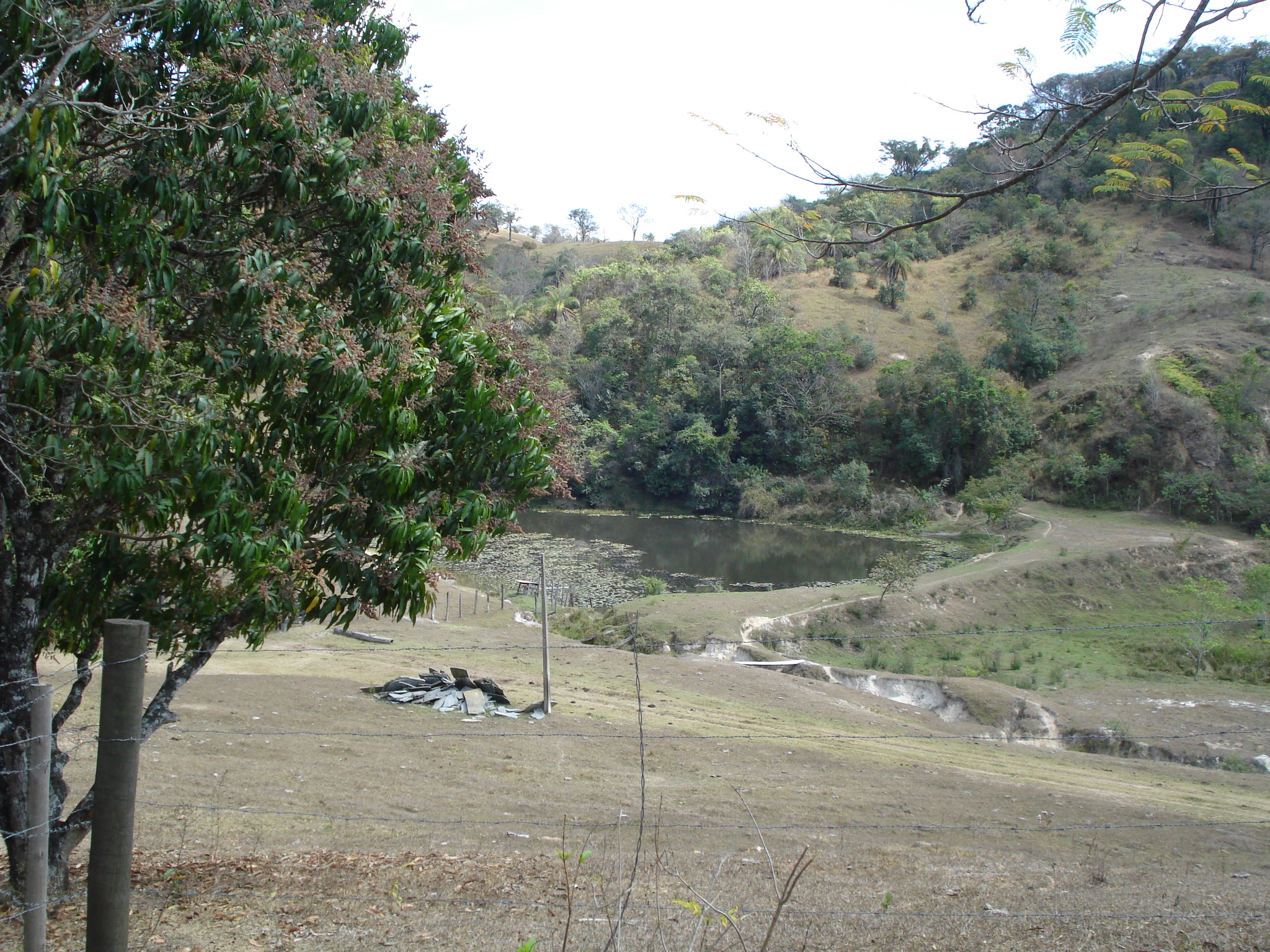 F-71 Fazenda 110ha Matozinhos MG