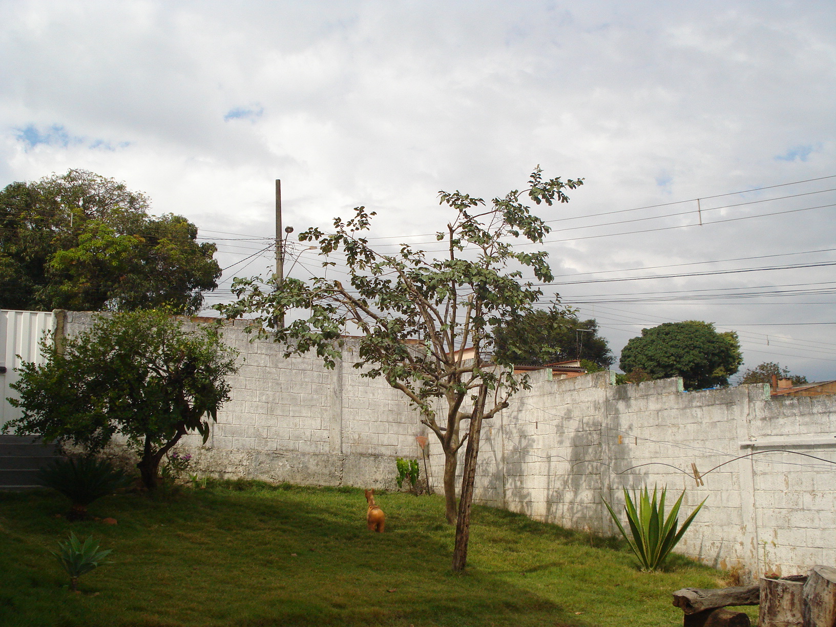 F-71 Fazenda 110ha Matozinhos MG