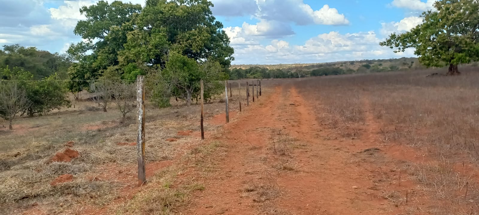 F-88 FAZENDA 75 HA FELIXLÂNDIA