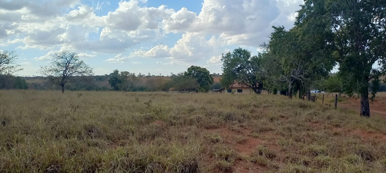 F-88 FAZENDA 75 HA FELIXLÂNDIA