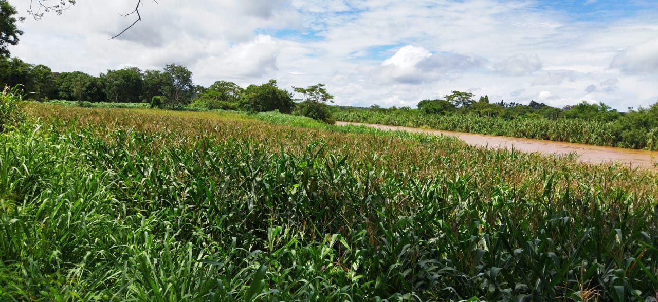 F-99 FAZENDA 66 HA CURVELO