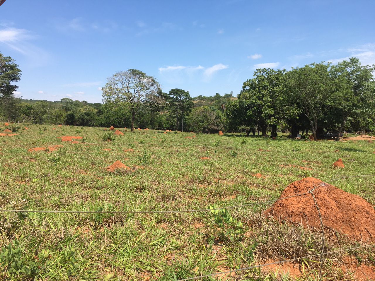 F-101 FAZENDA 133 HA FUNILÂNDIA