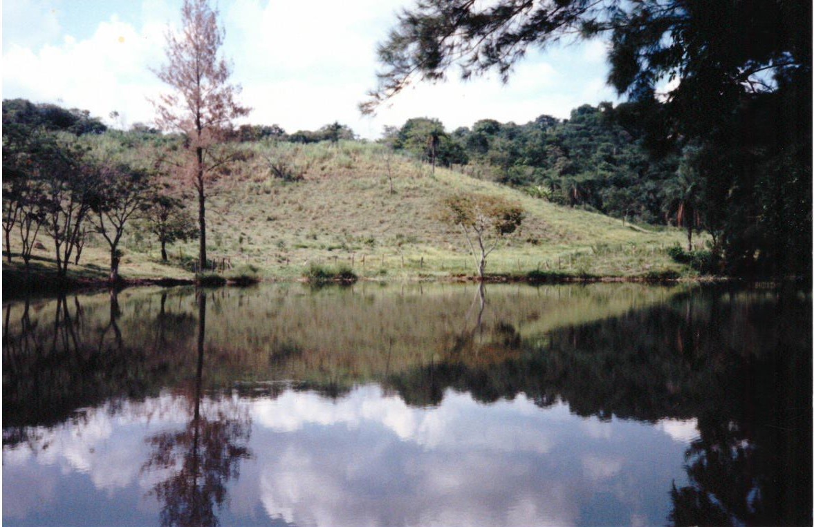 F-01 FAZENDA 33HAC PEDRO LEOPOLDO MG –