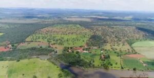 F-107 FAZENDA 308,68 HA CURVELO