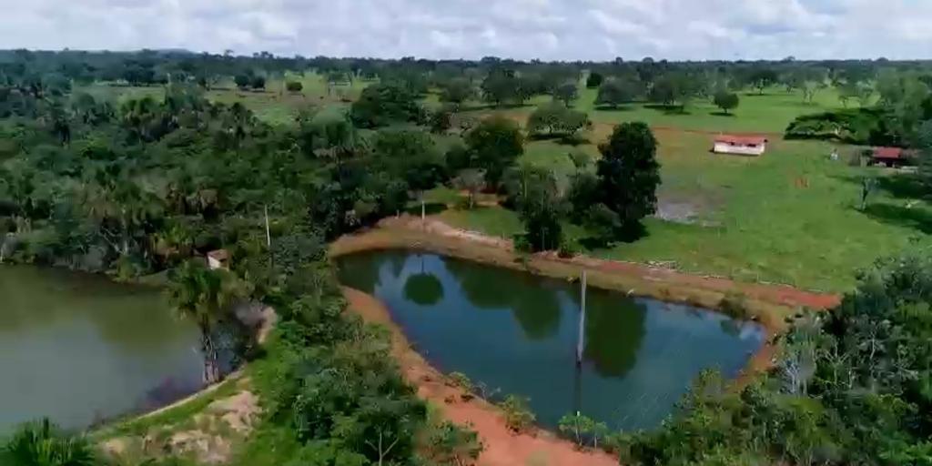 F-107 FAZENDA 308,68 HA CURVELO