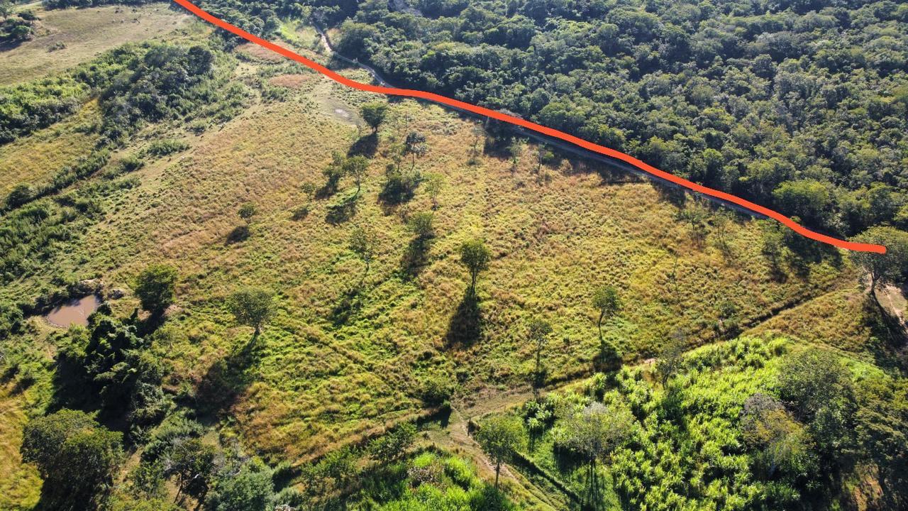 F-90 FAZENDA 50HA ARAÇAI MG