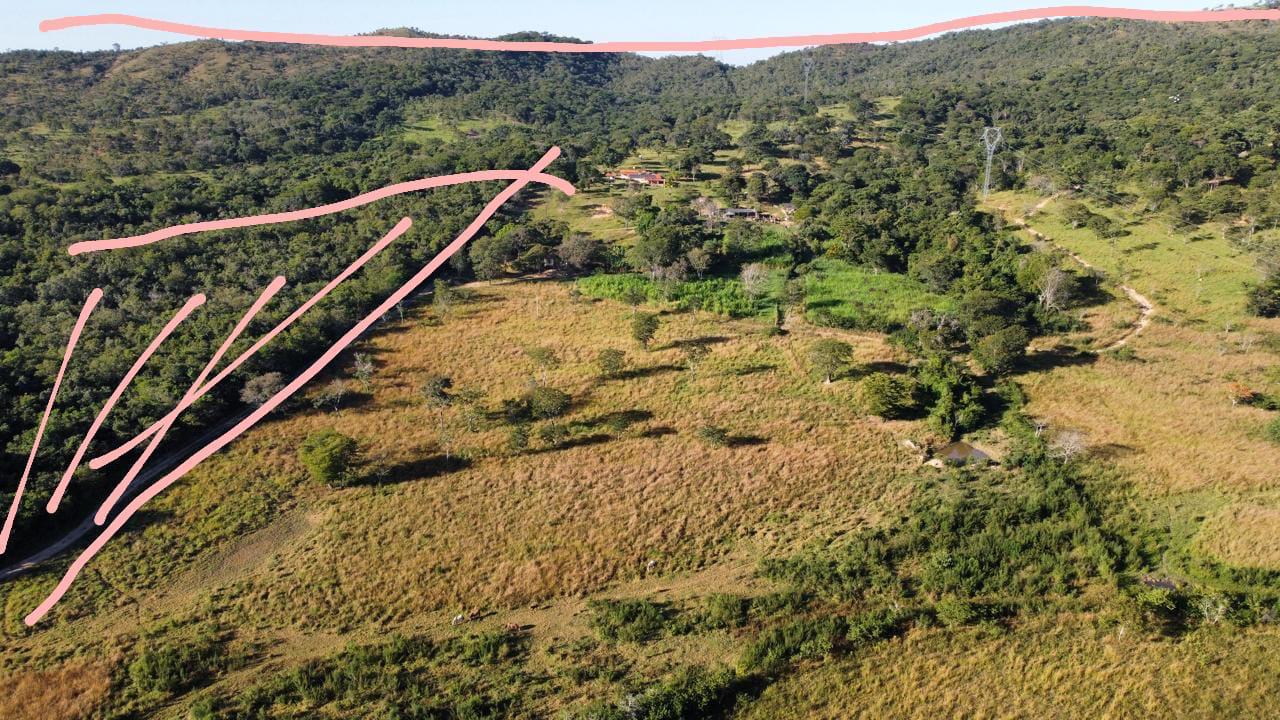 F-90 FAZENDA 50HA ARAÇAI MG