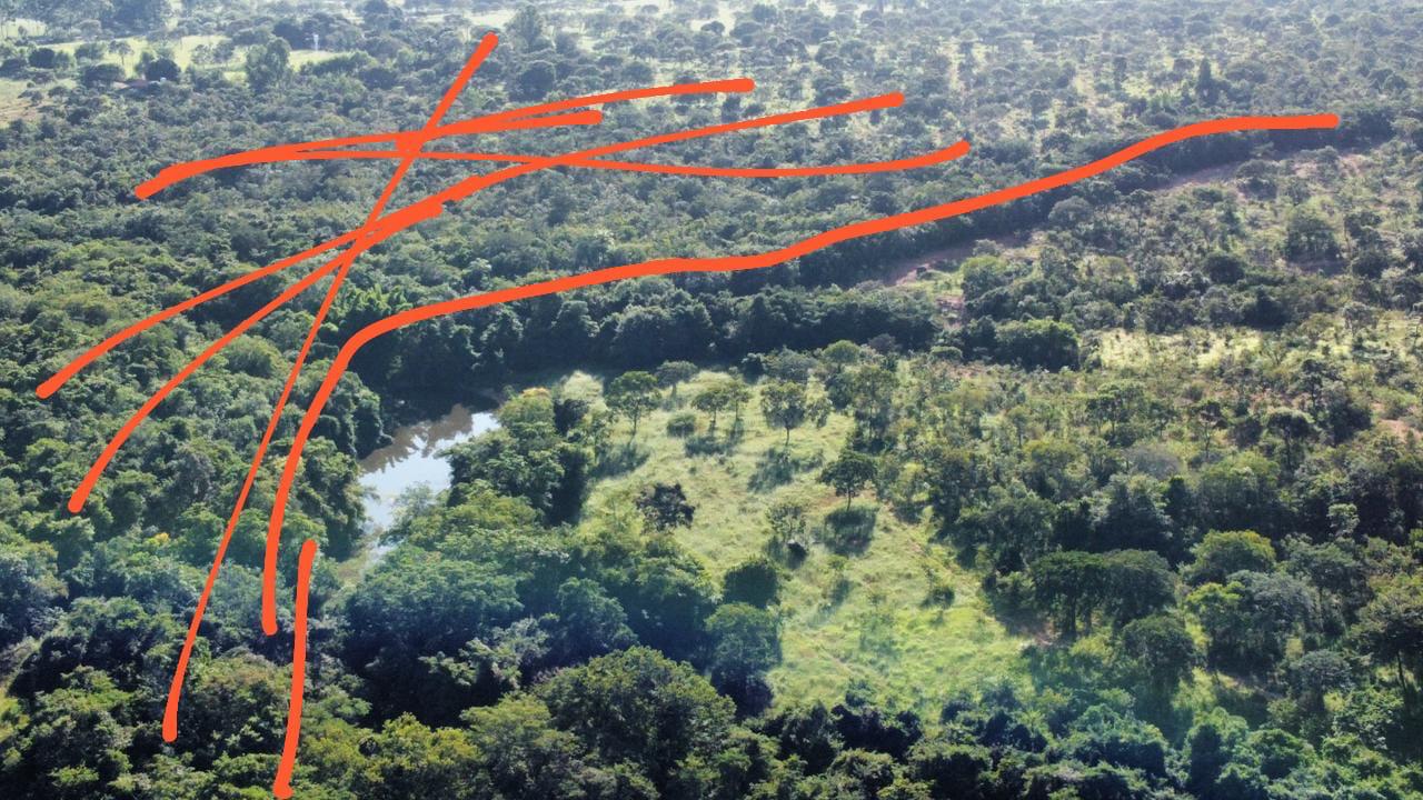 F-90 FAZENDA 50HA ARAÇAI MG