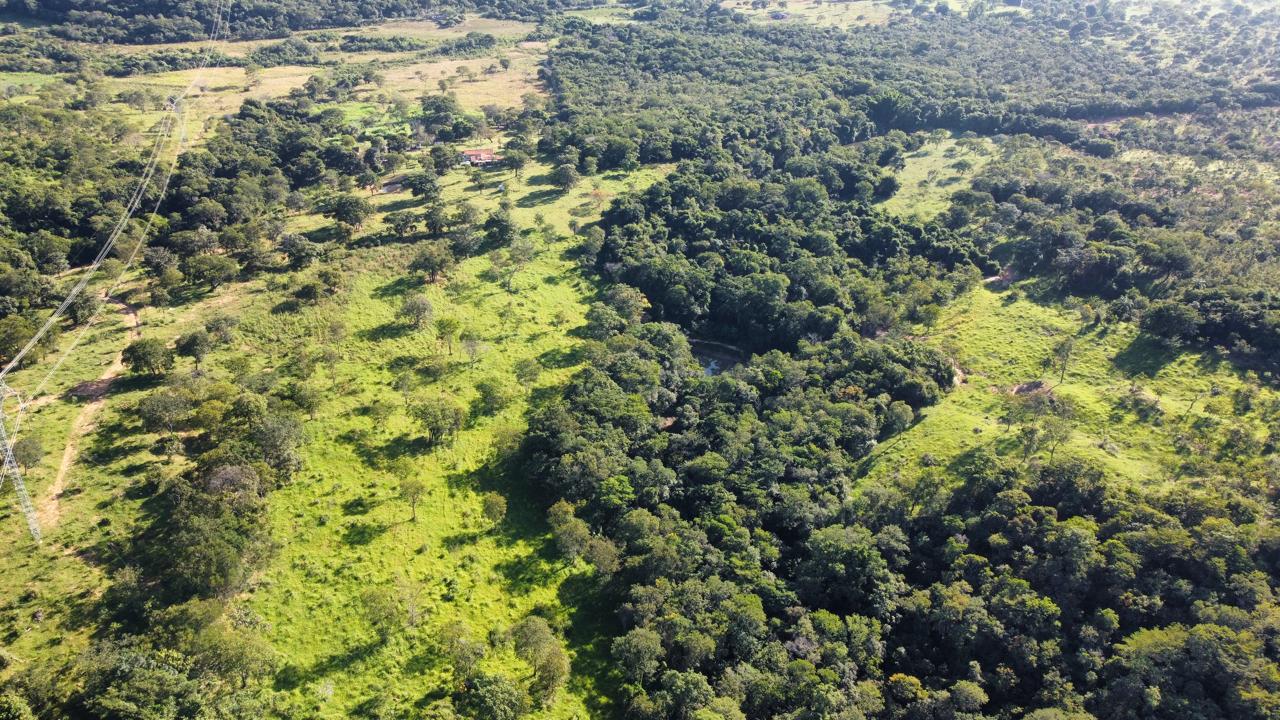 F-90 FAZENDA 50HA ARAÇAI MG